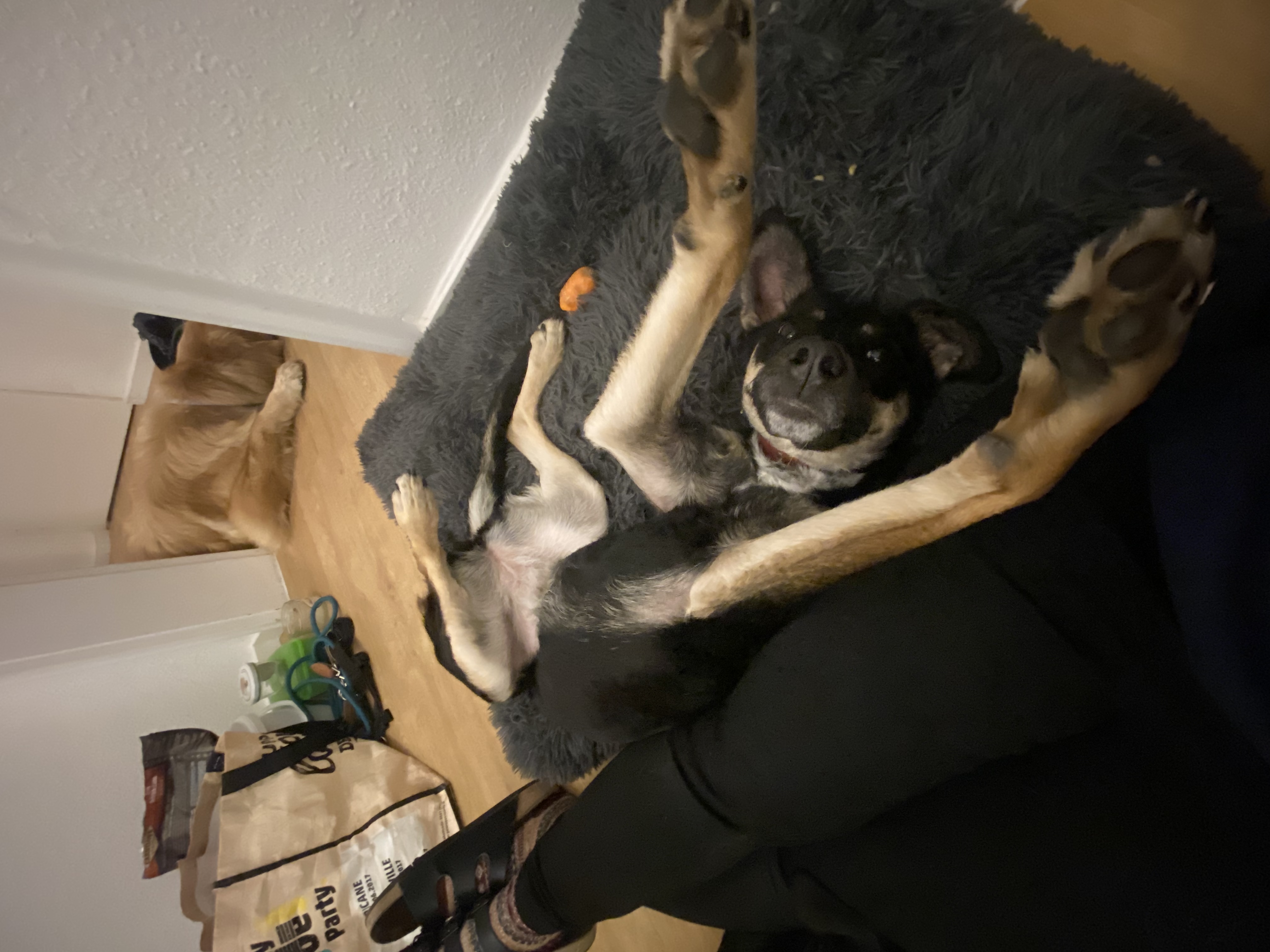 image-6