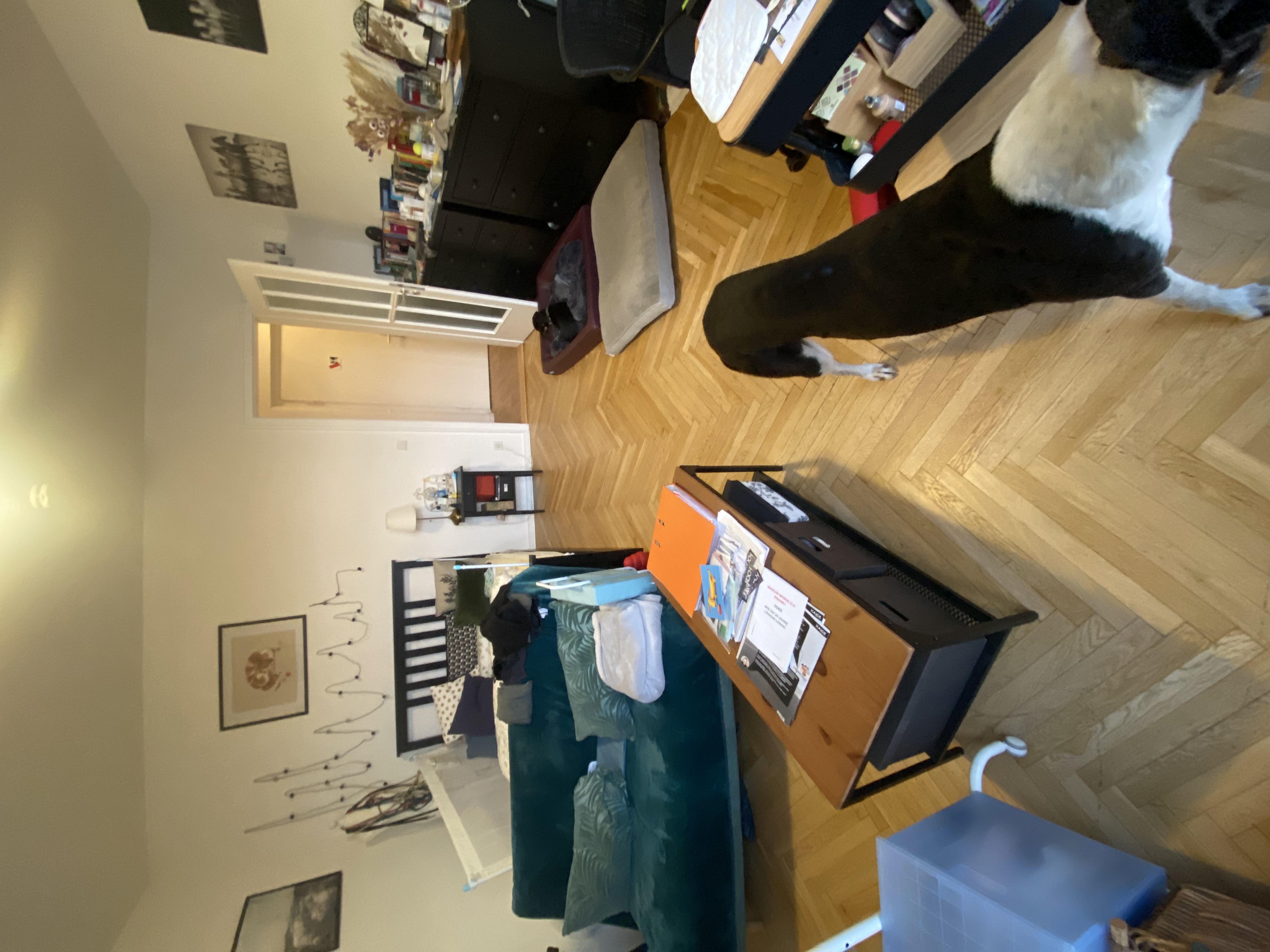 image-13
