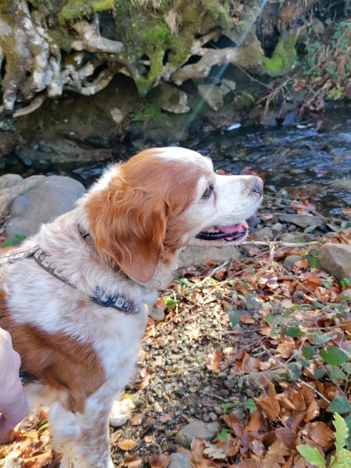 image-7