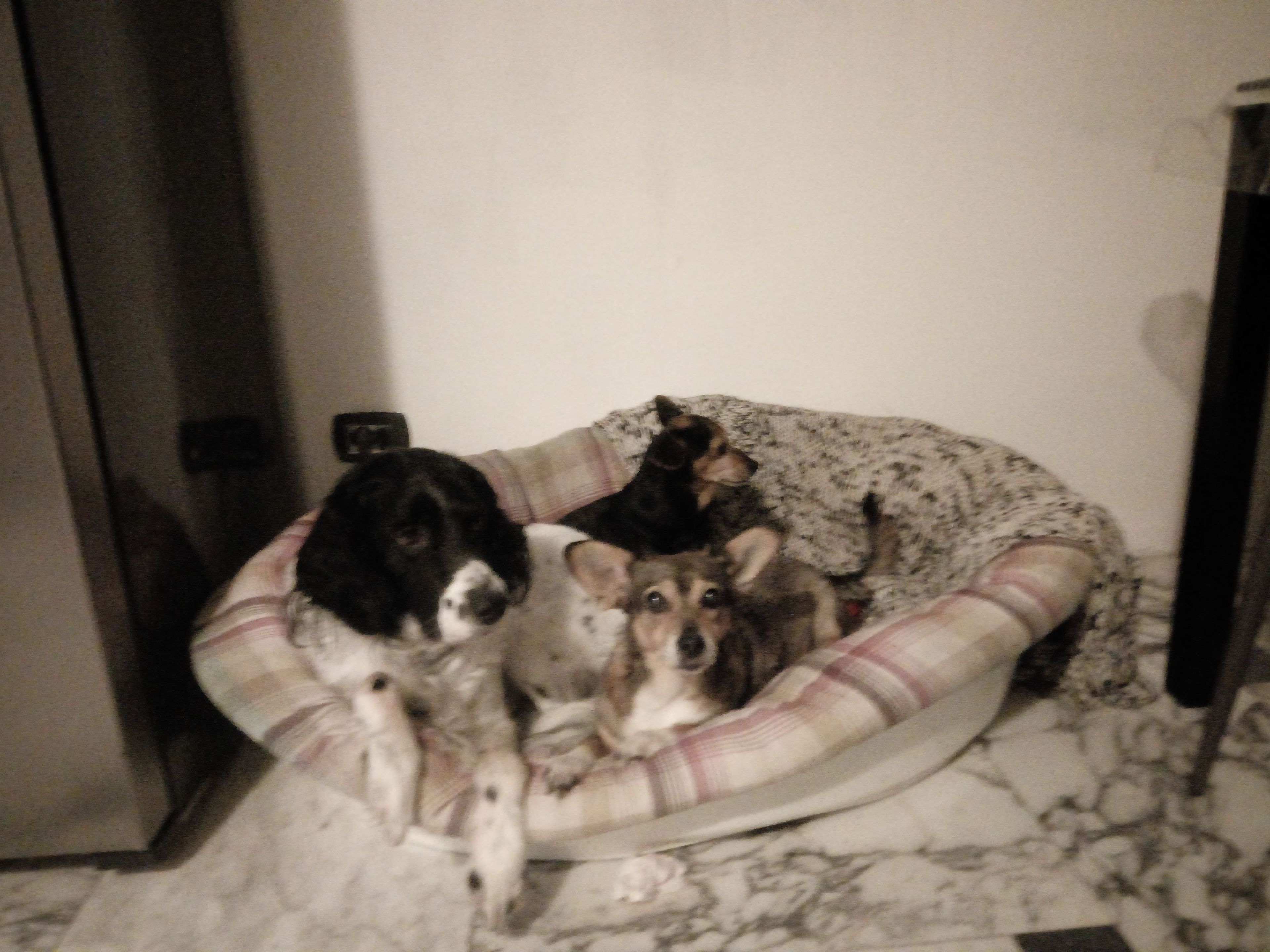 image-10