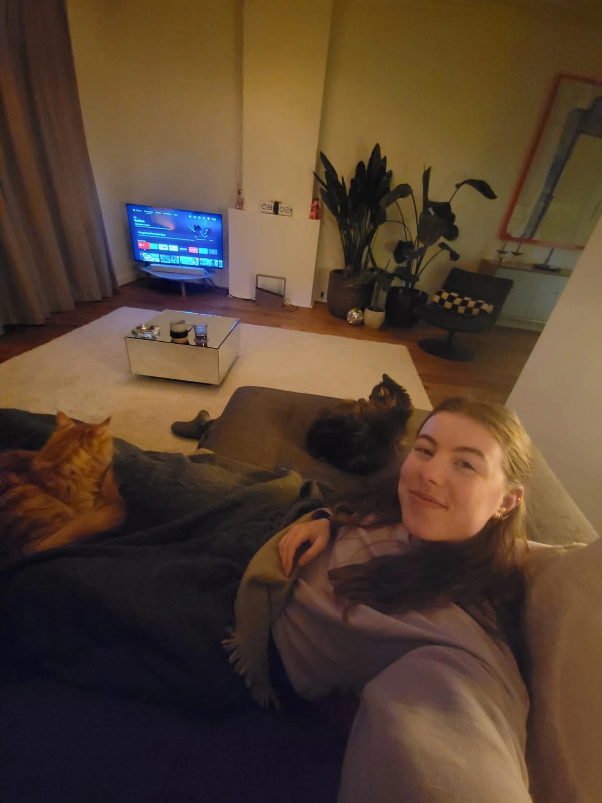 image-7
