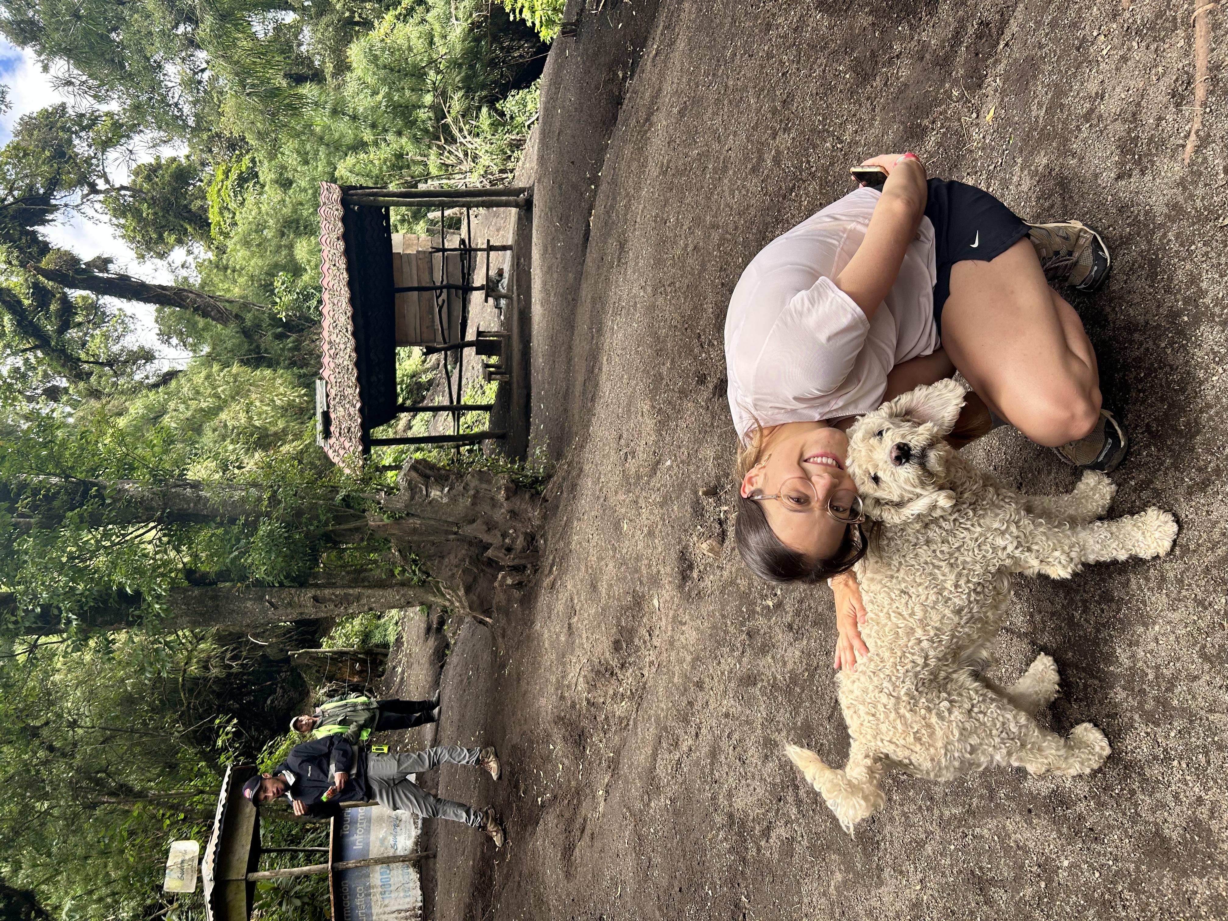 image-6
