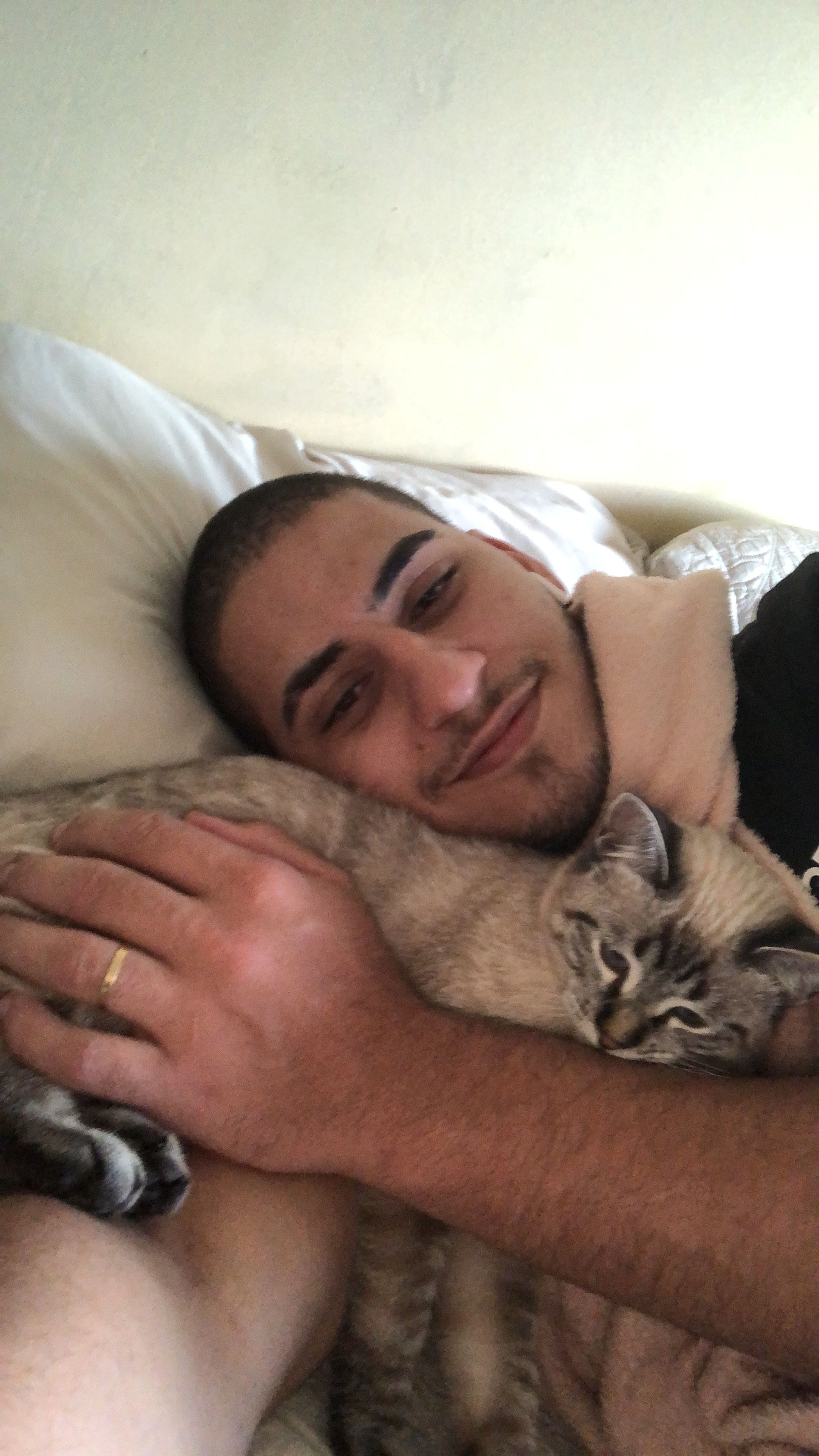 image-7