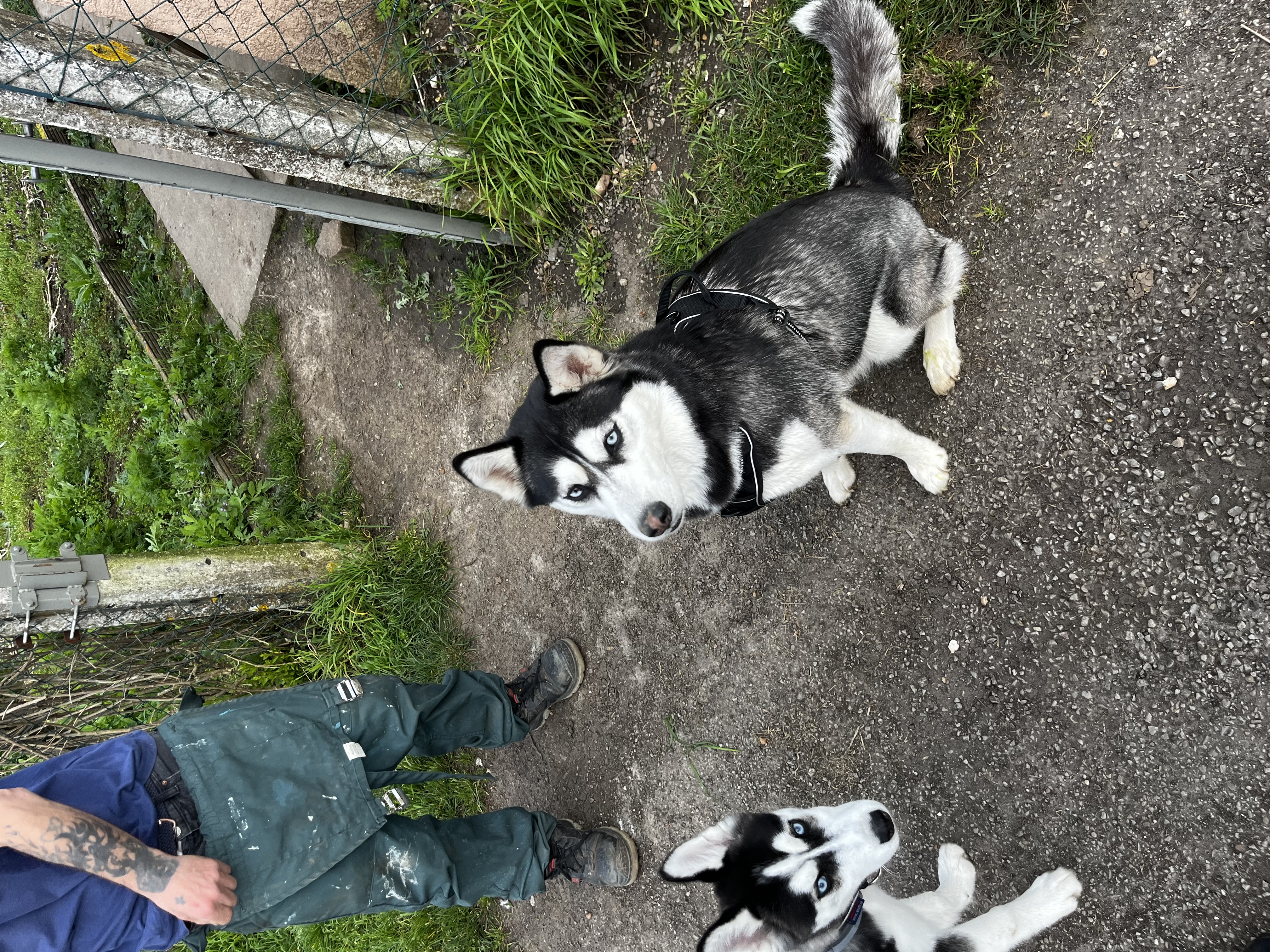 image-10