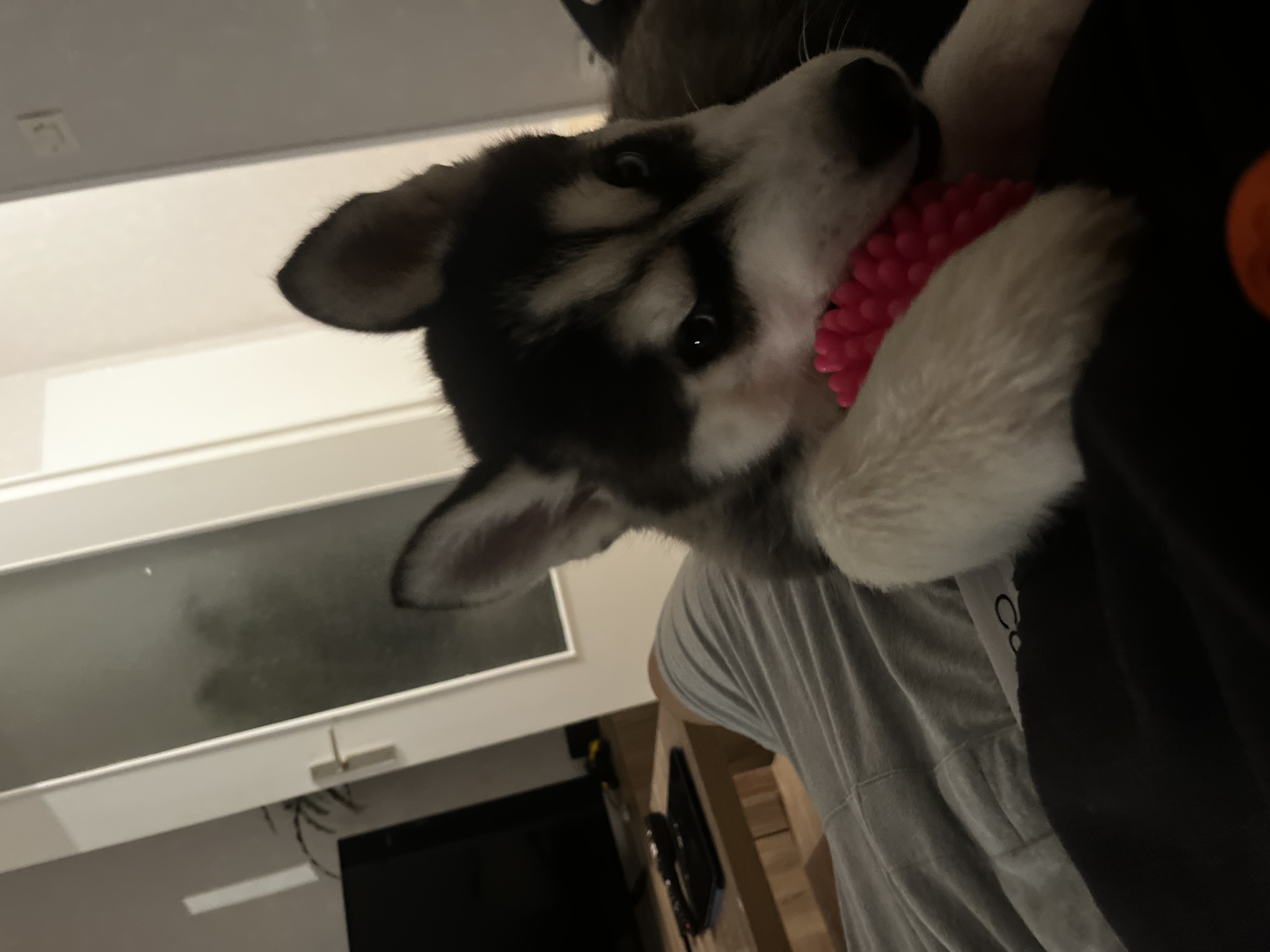 image-8