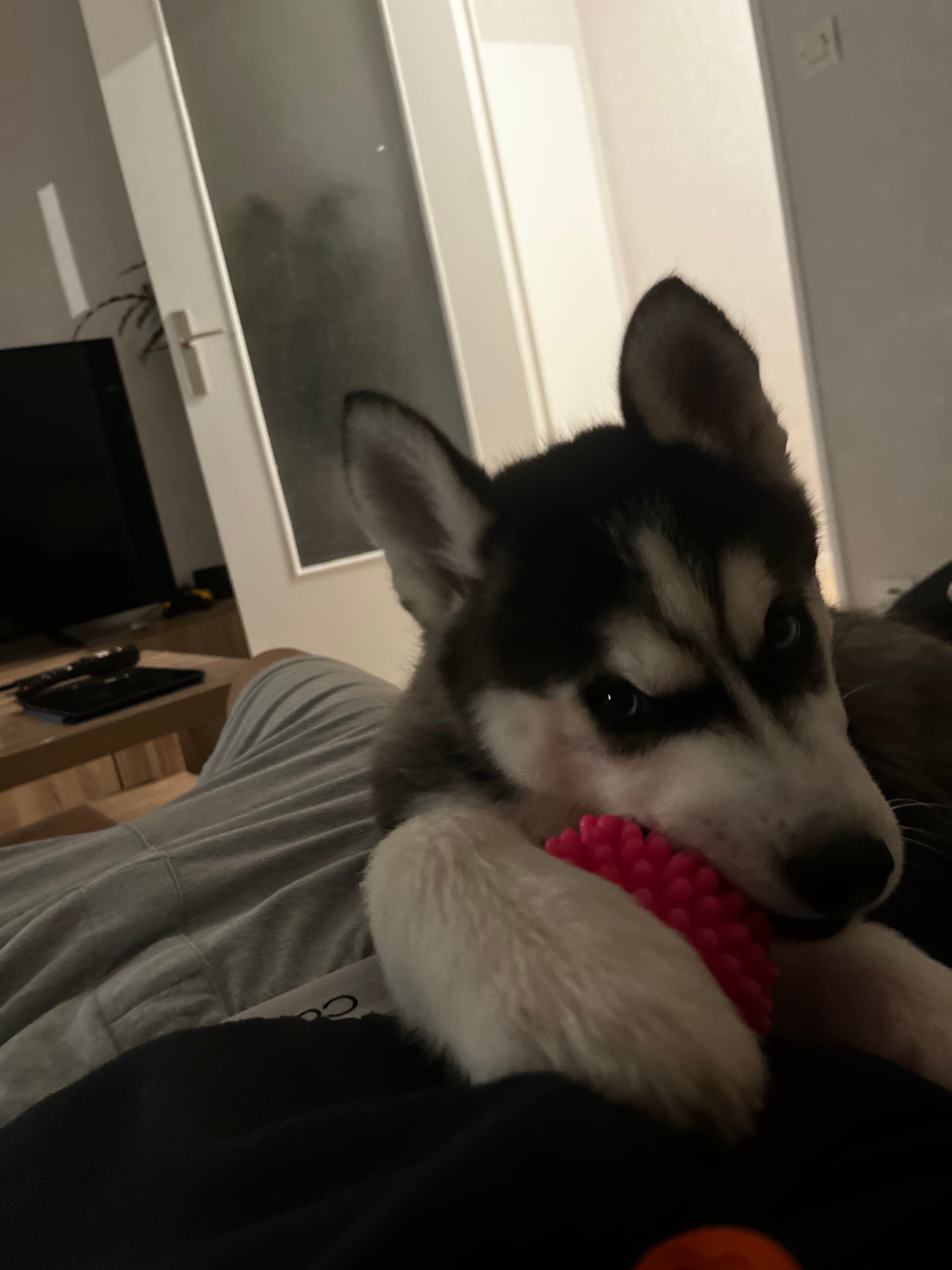 image-8