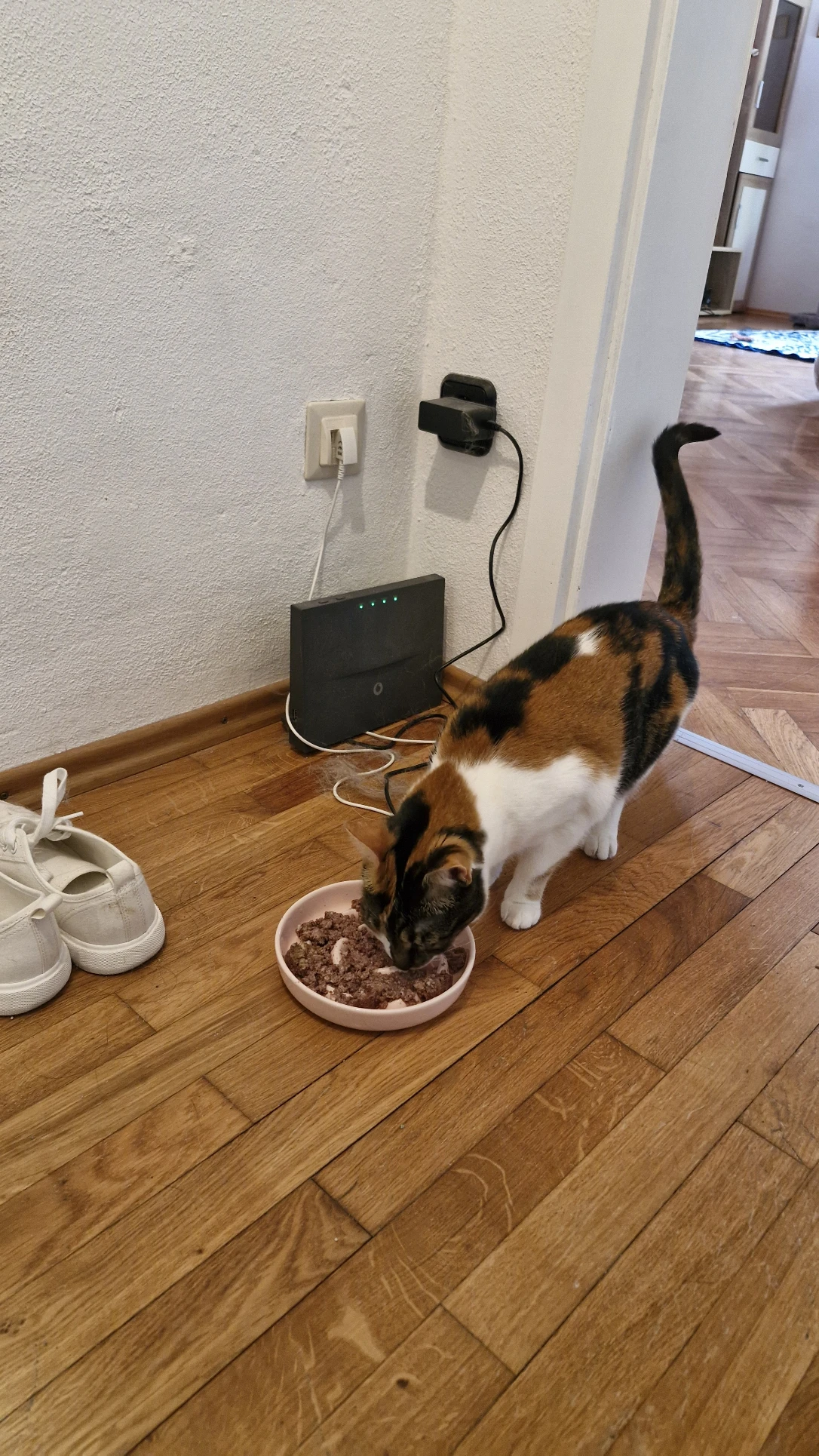 image-17