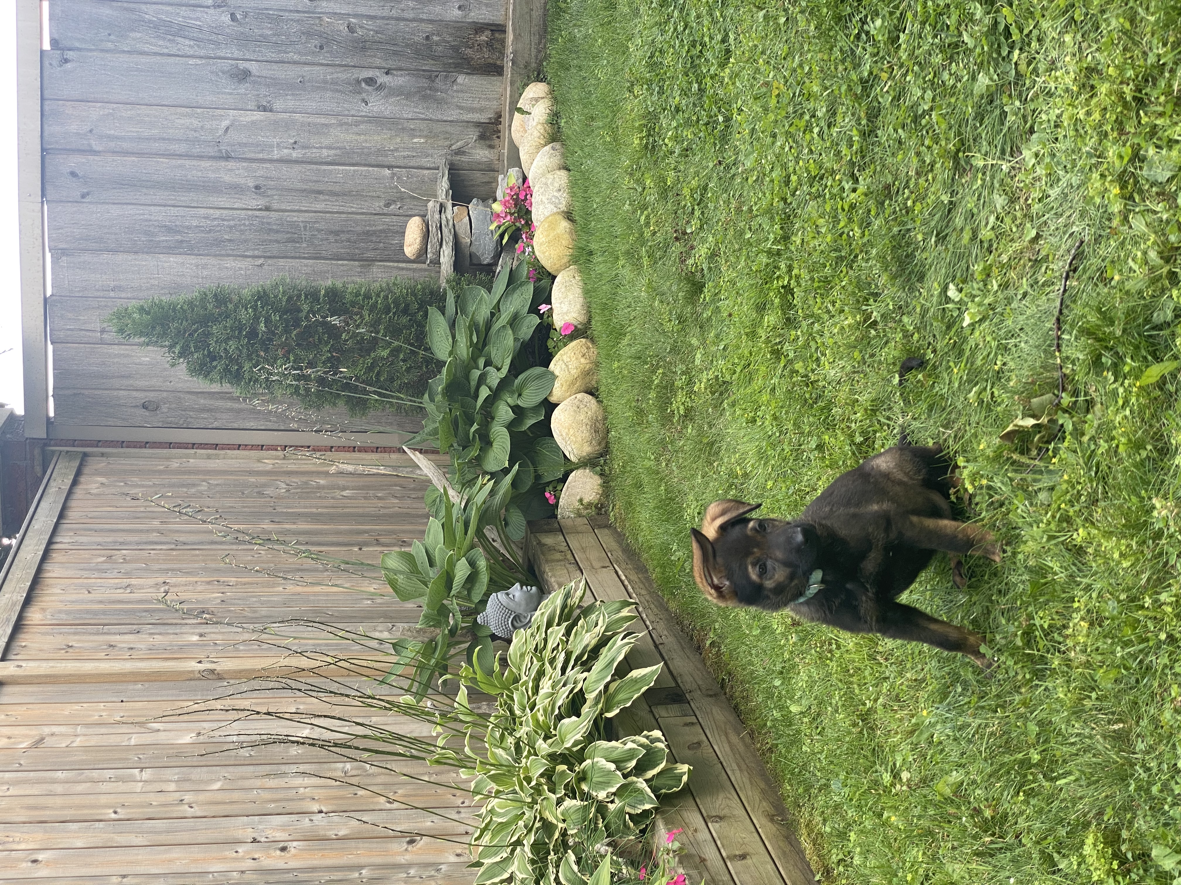 image-28