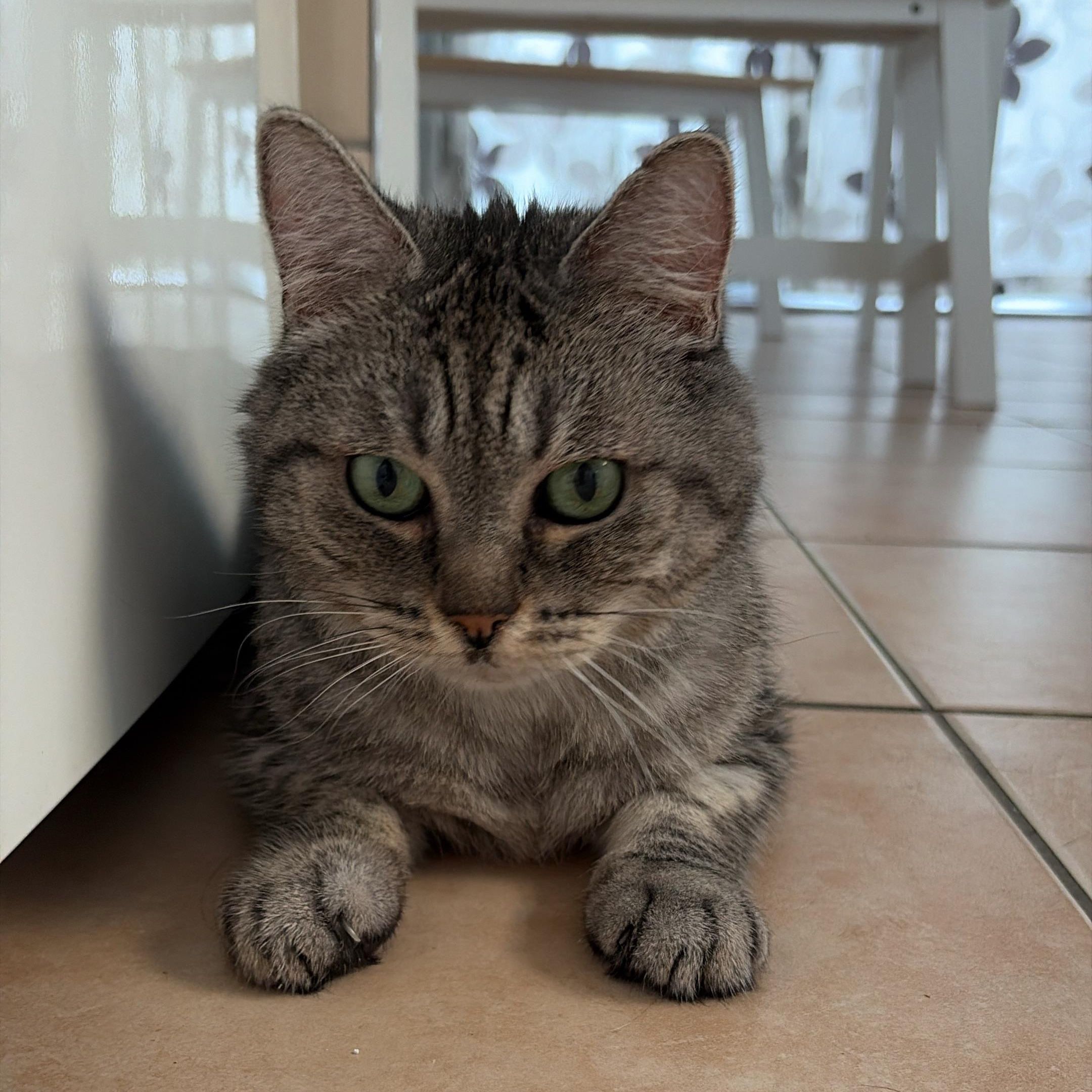 Isidorine