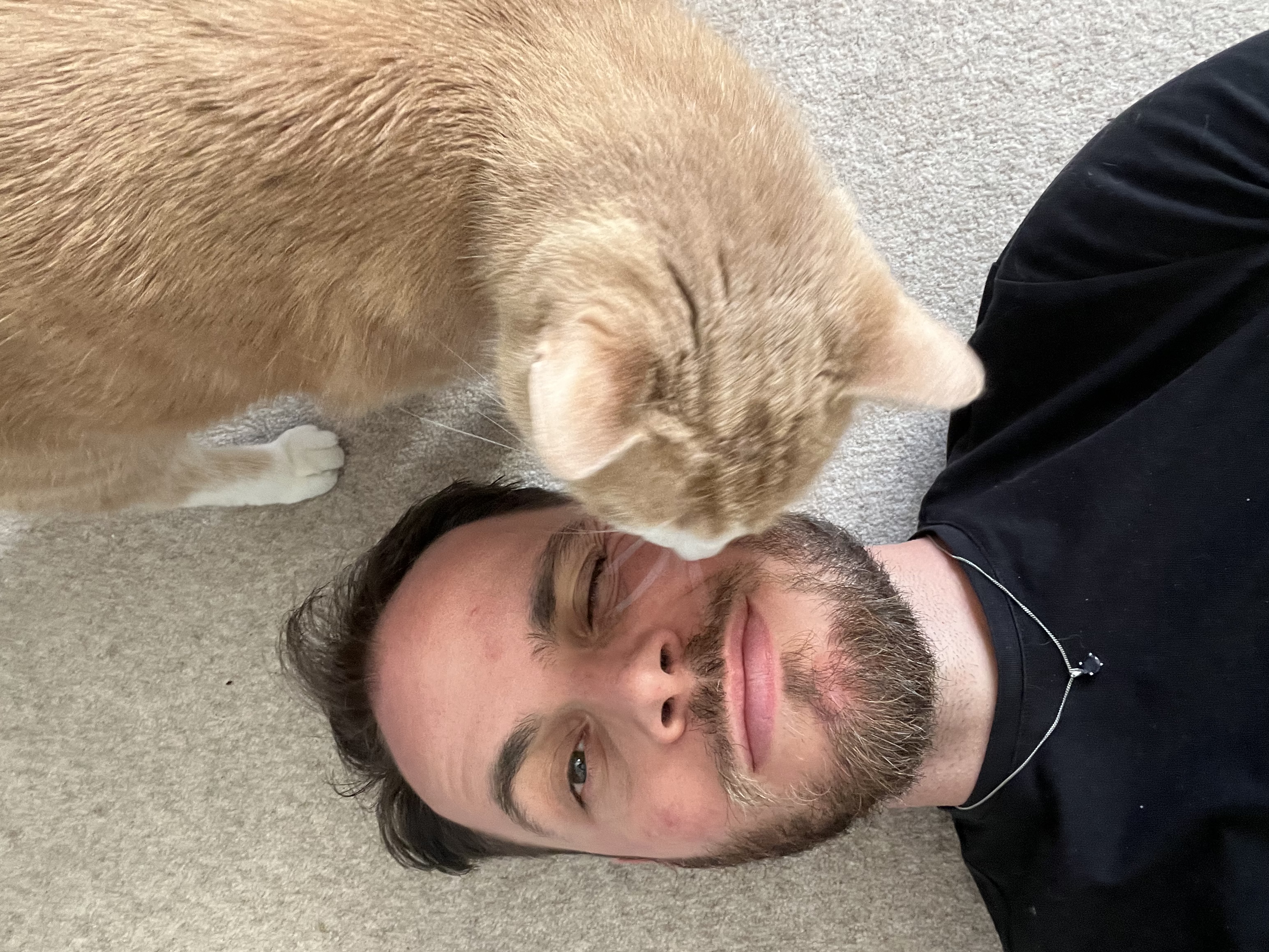 image-6
