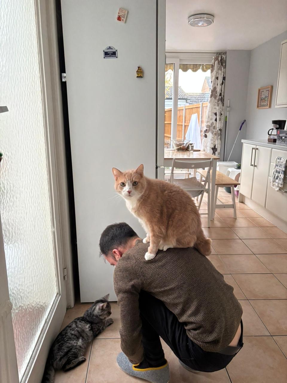 image-7