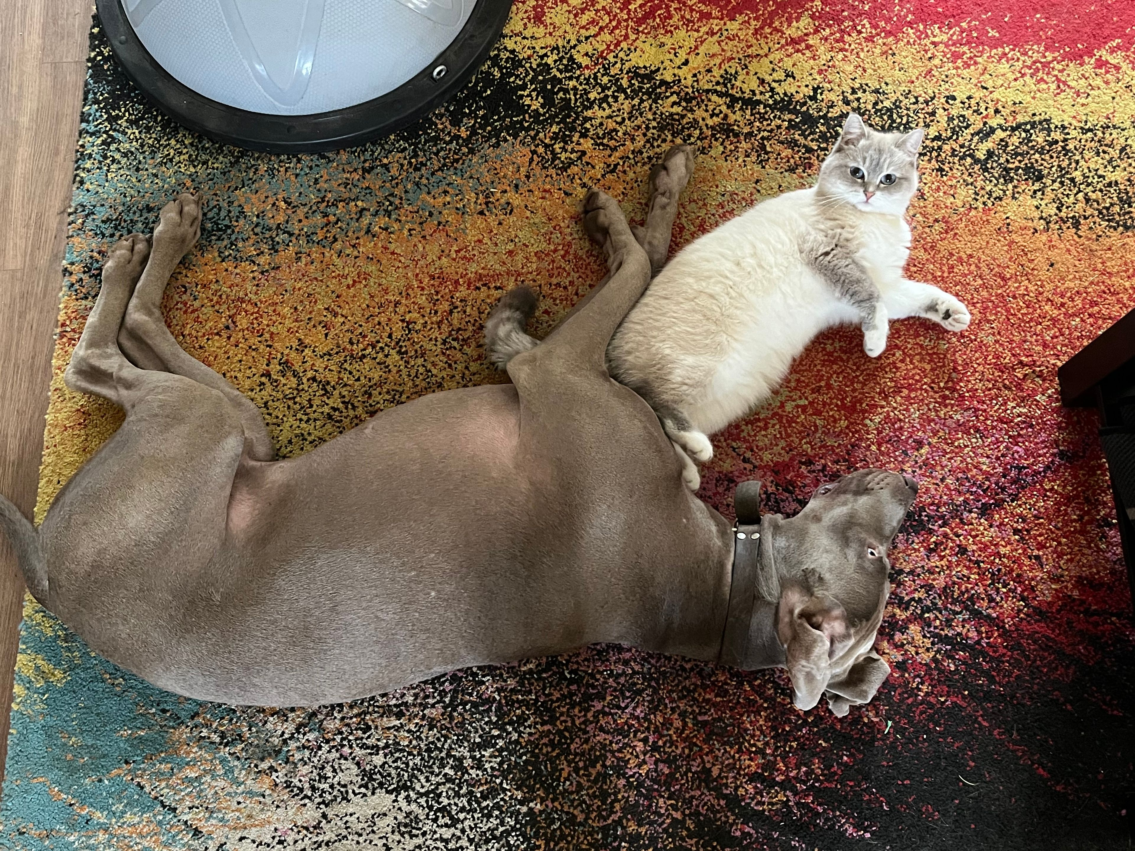 image-4