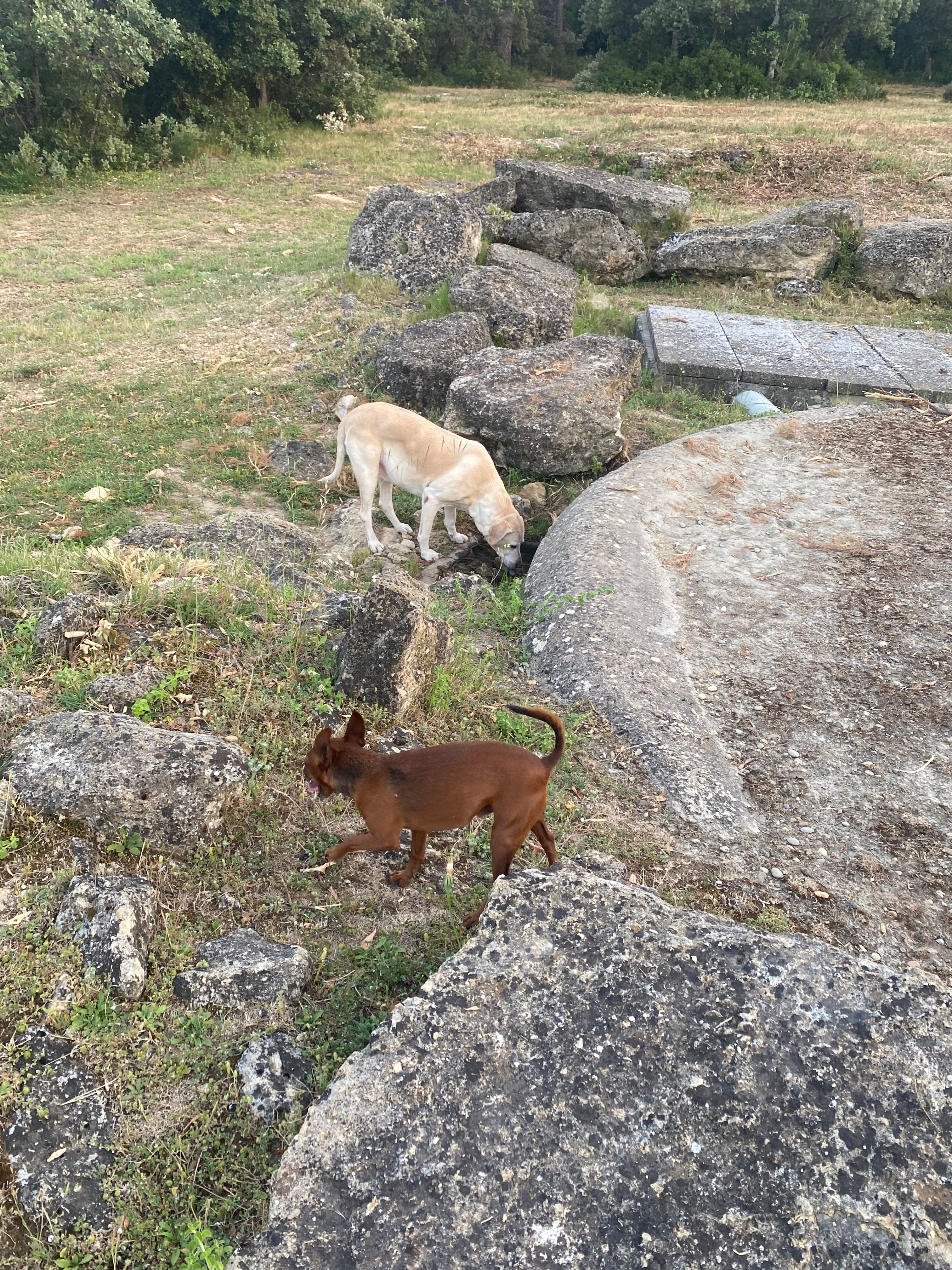 image-4