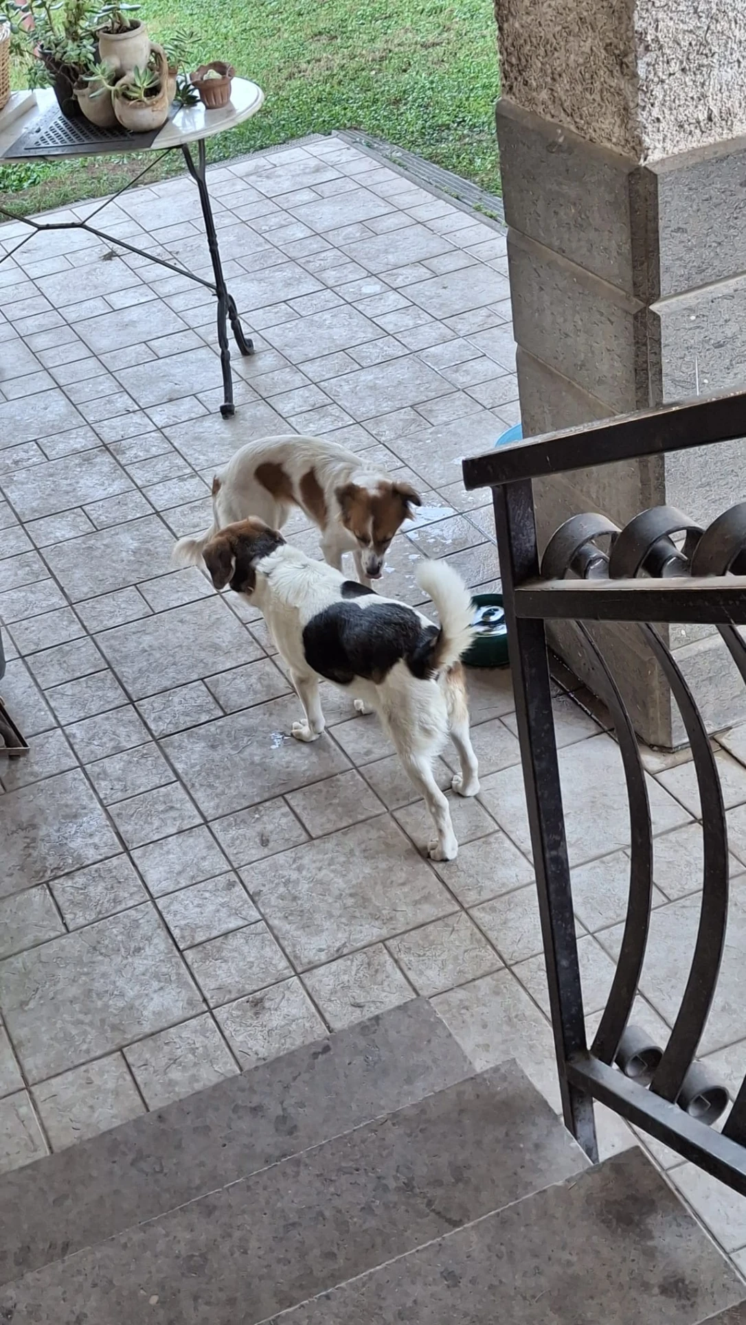 image-19