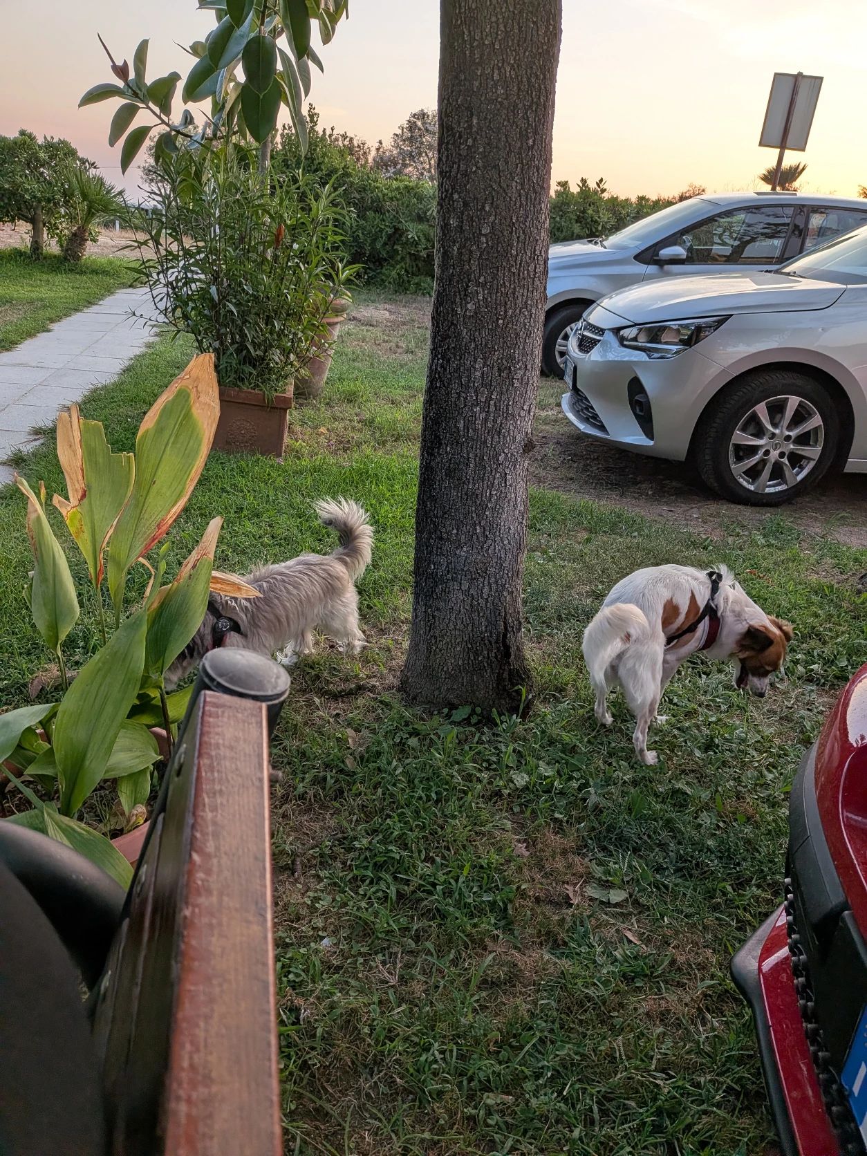 image-11
