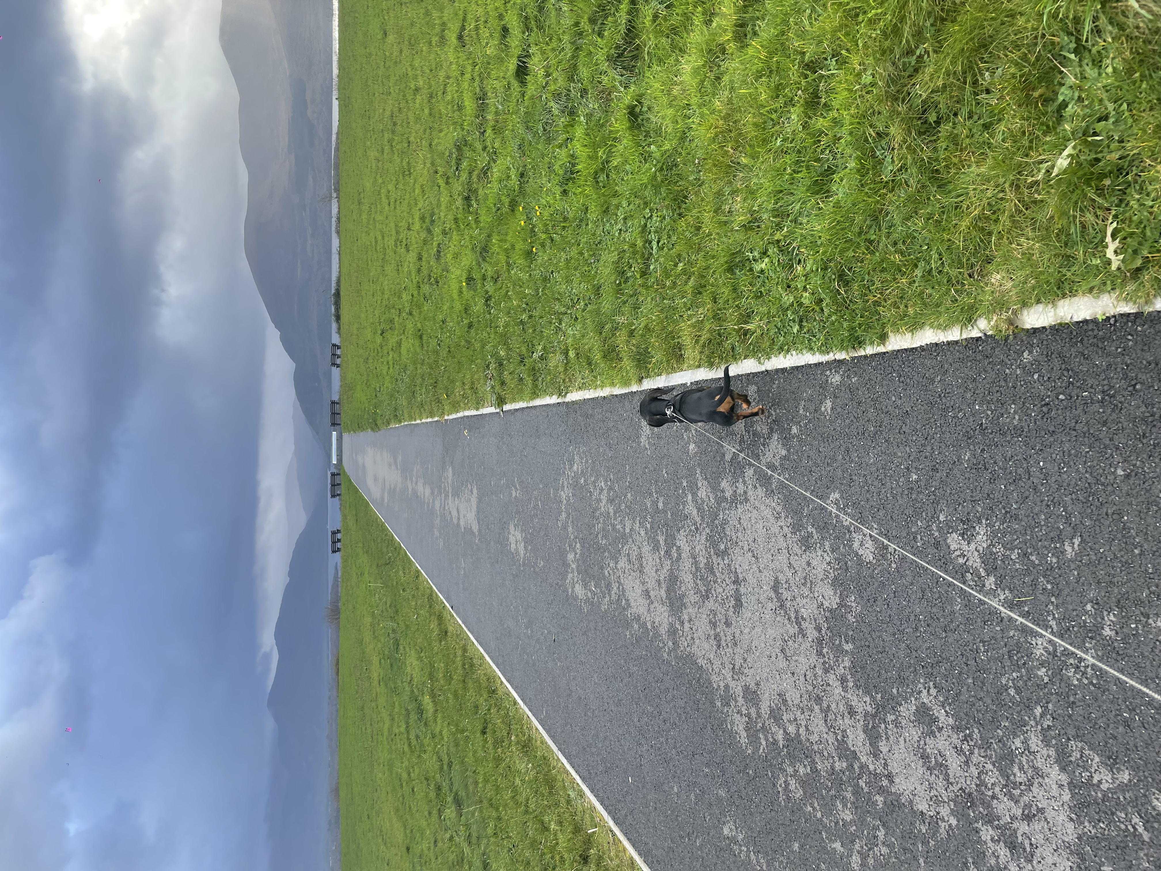image-7