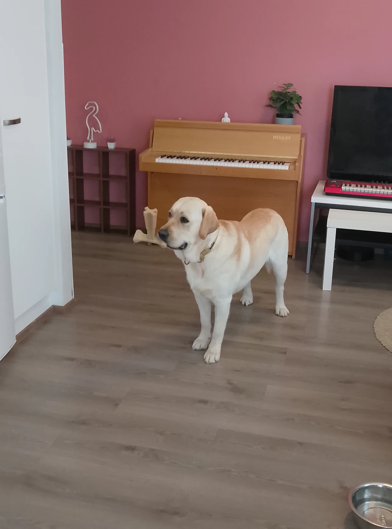 image-28