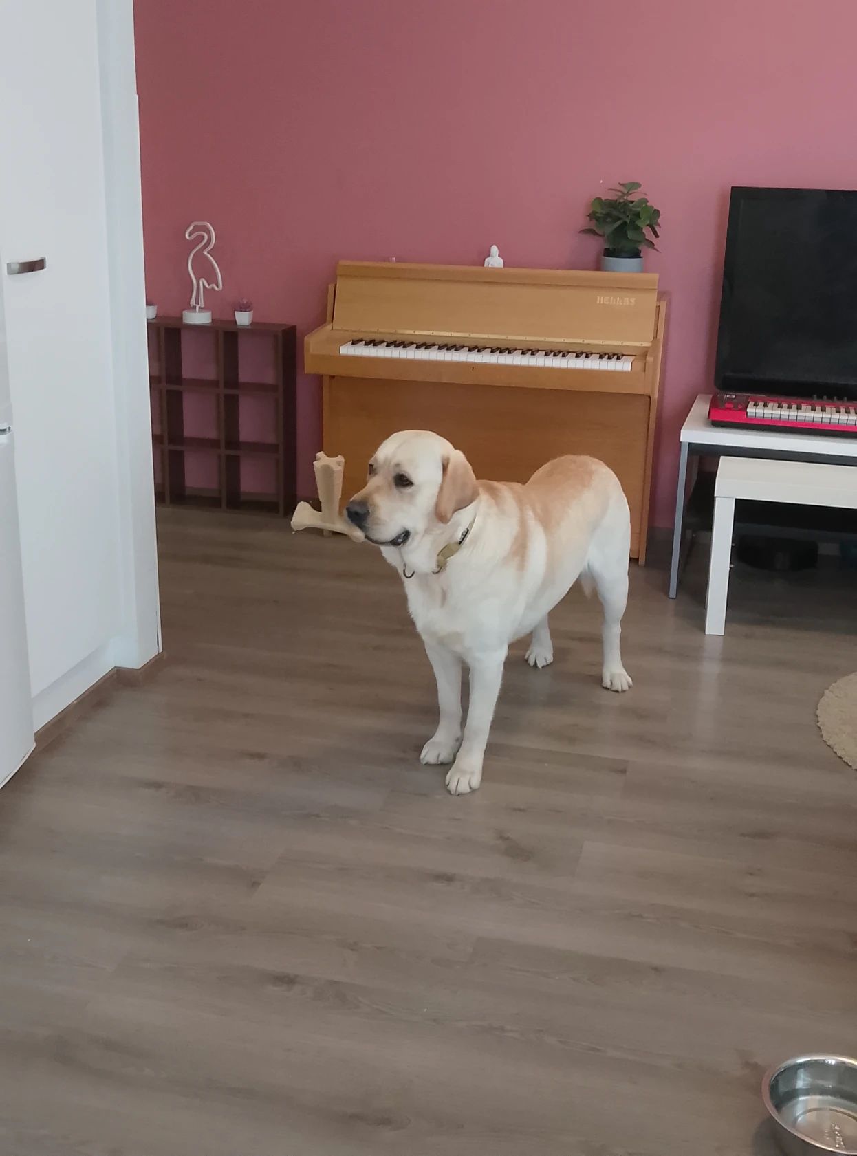 image-28