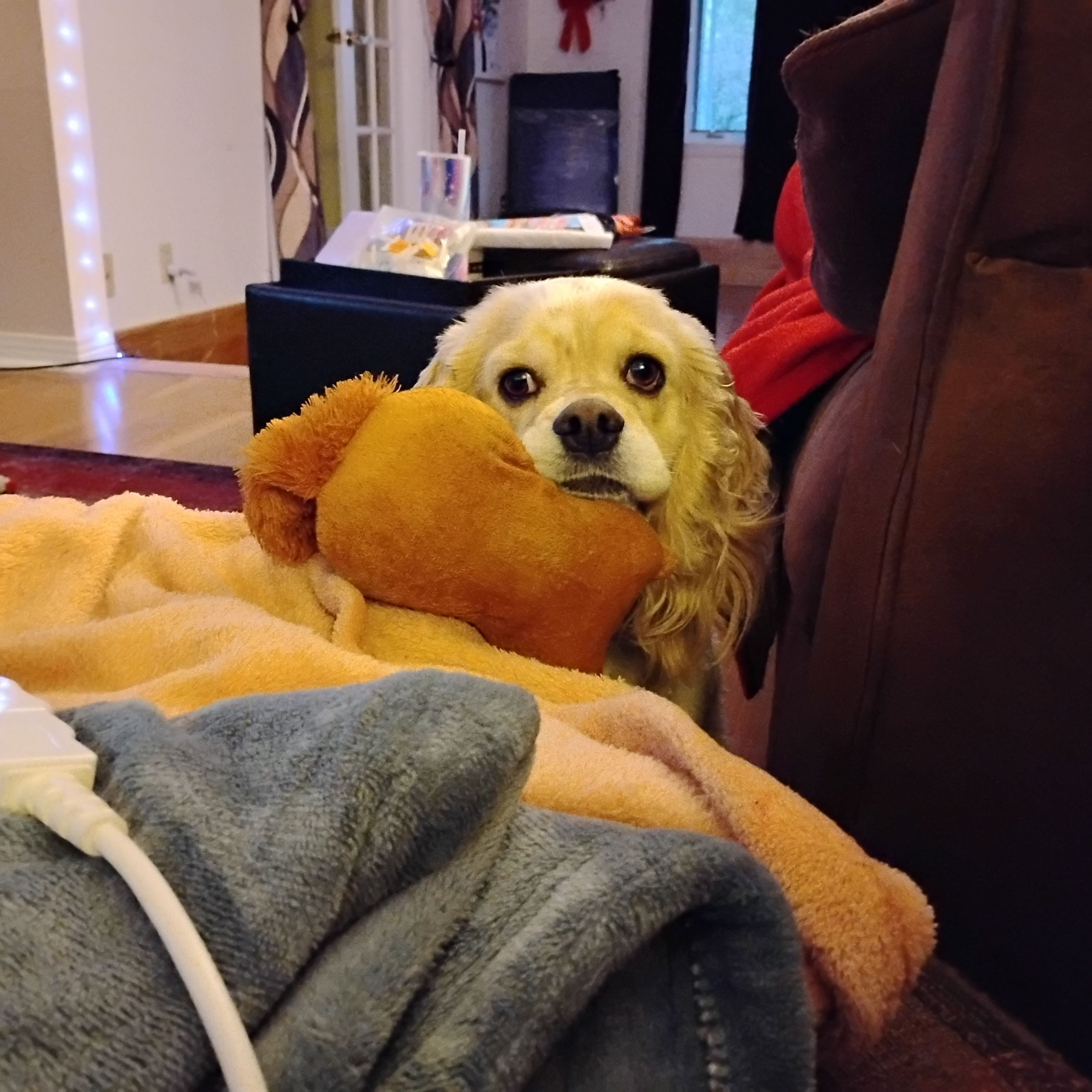 Penny