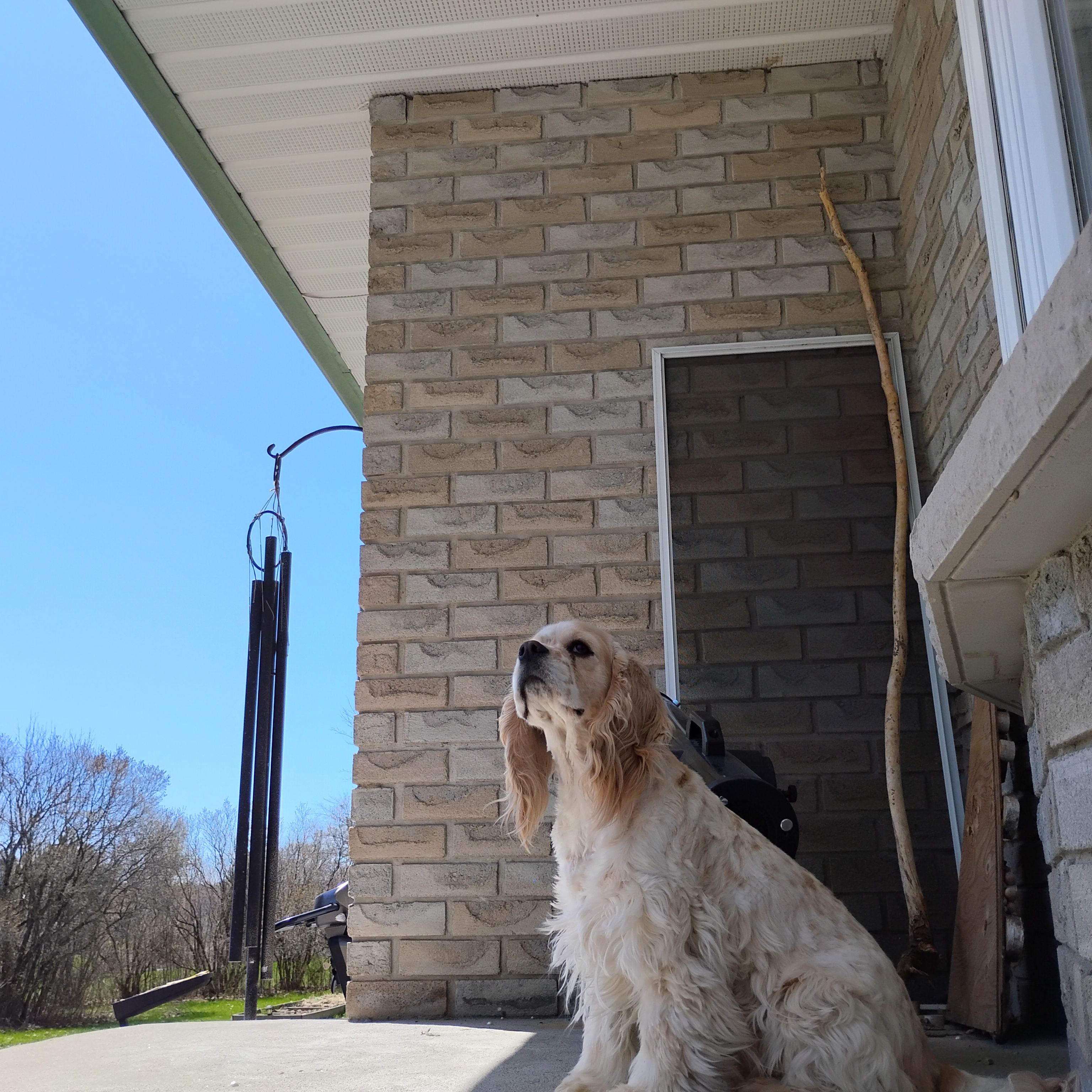image-11