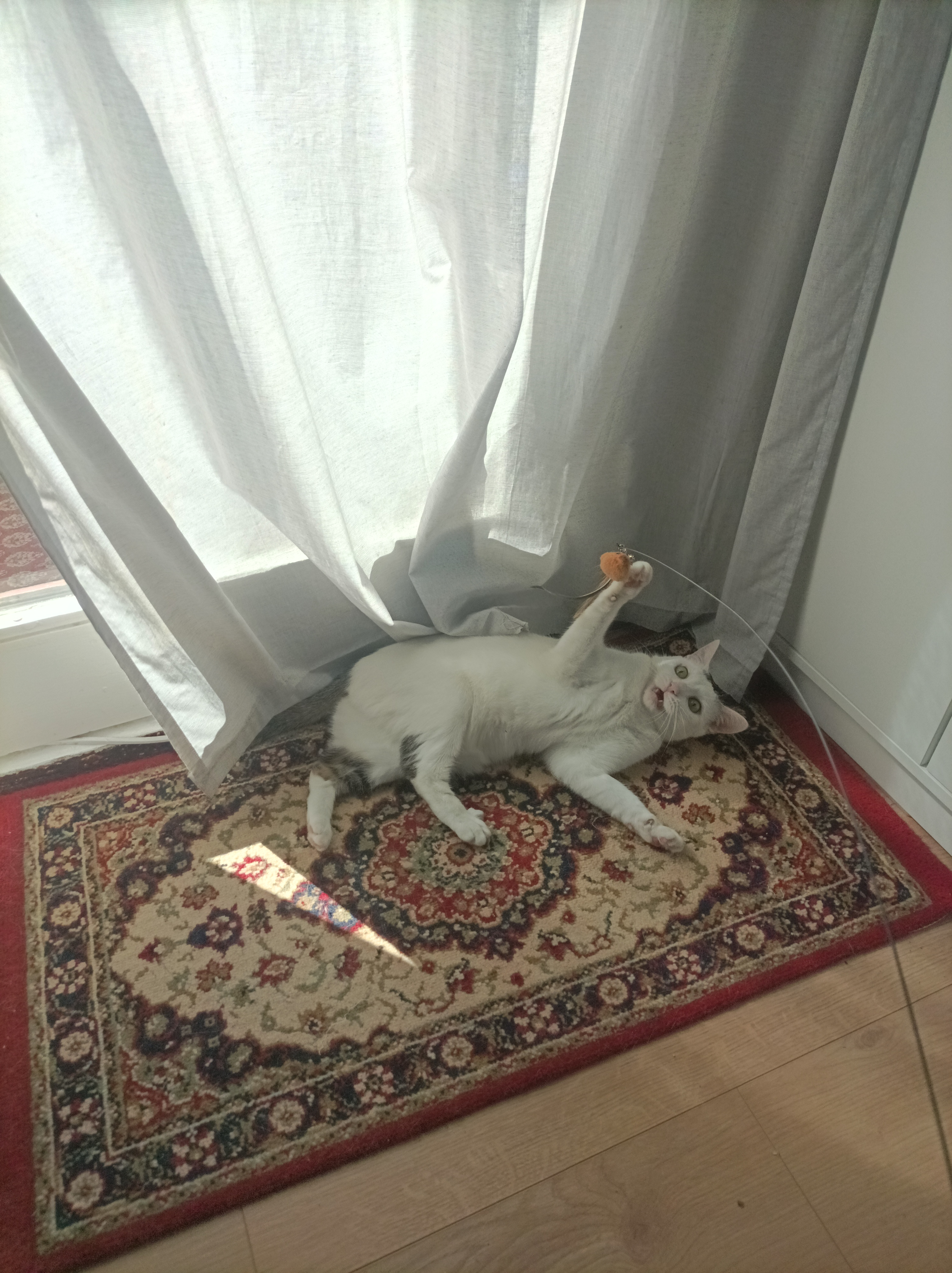 image-11