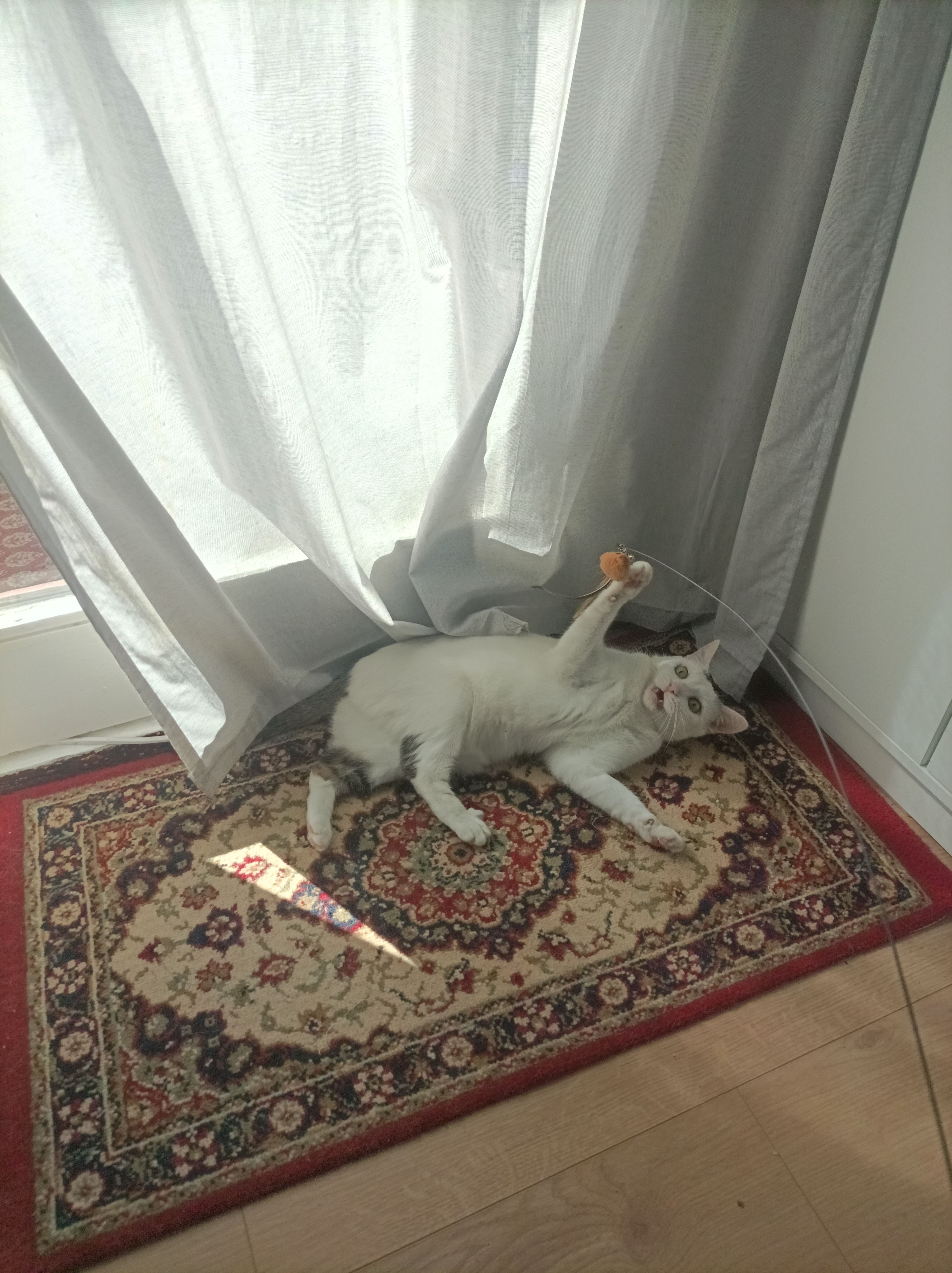 image-11