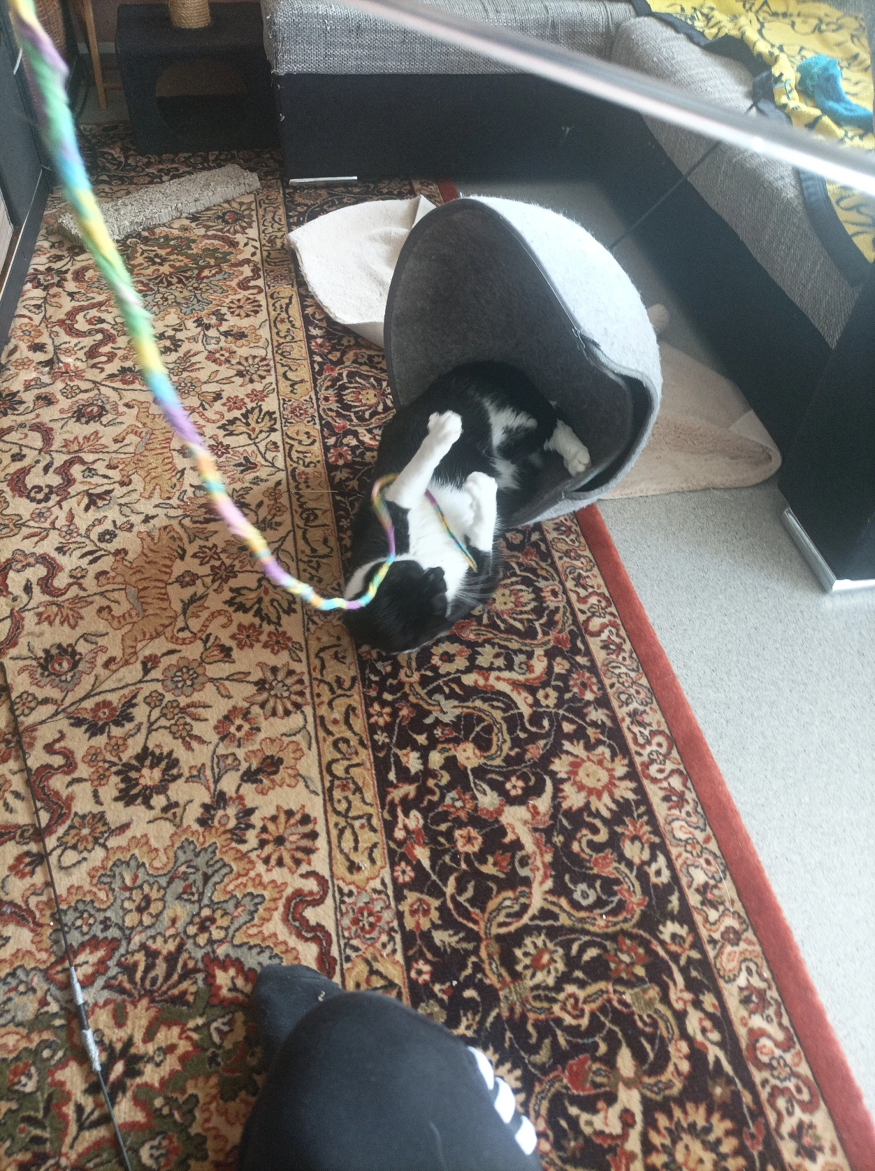 image-6