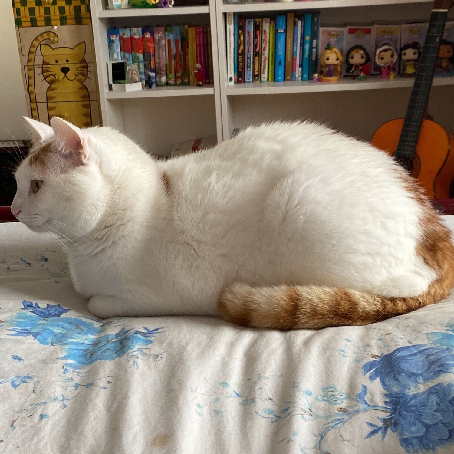 pedro