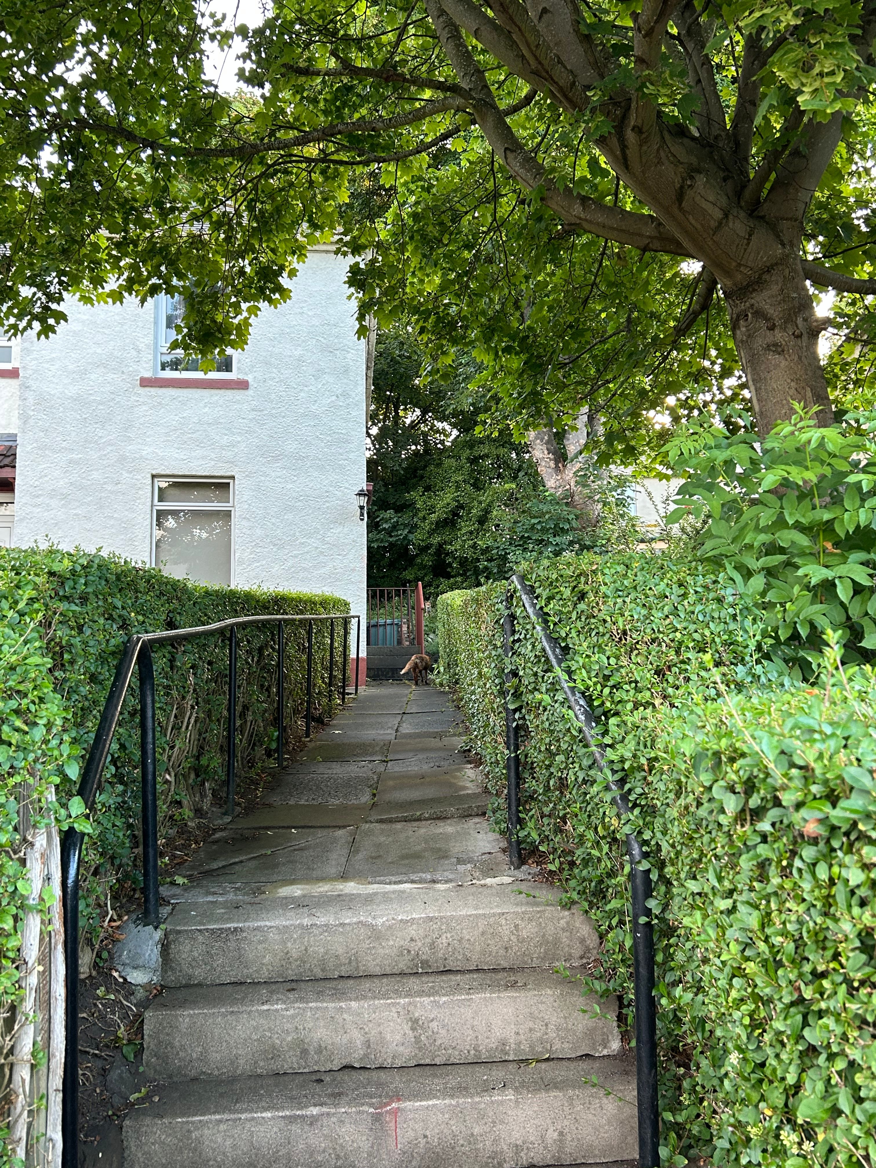 image-15