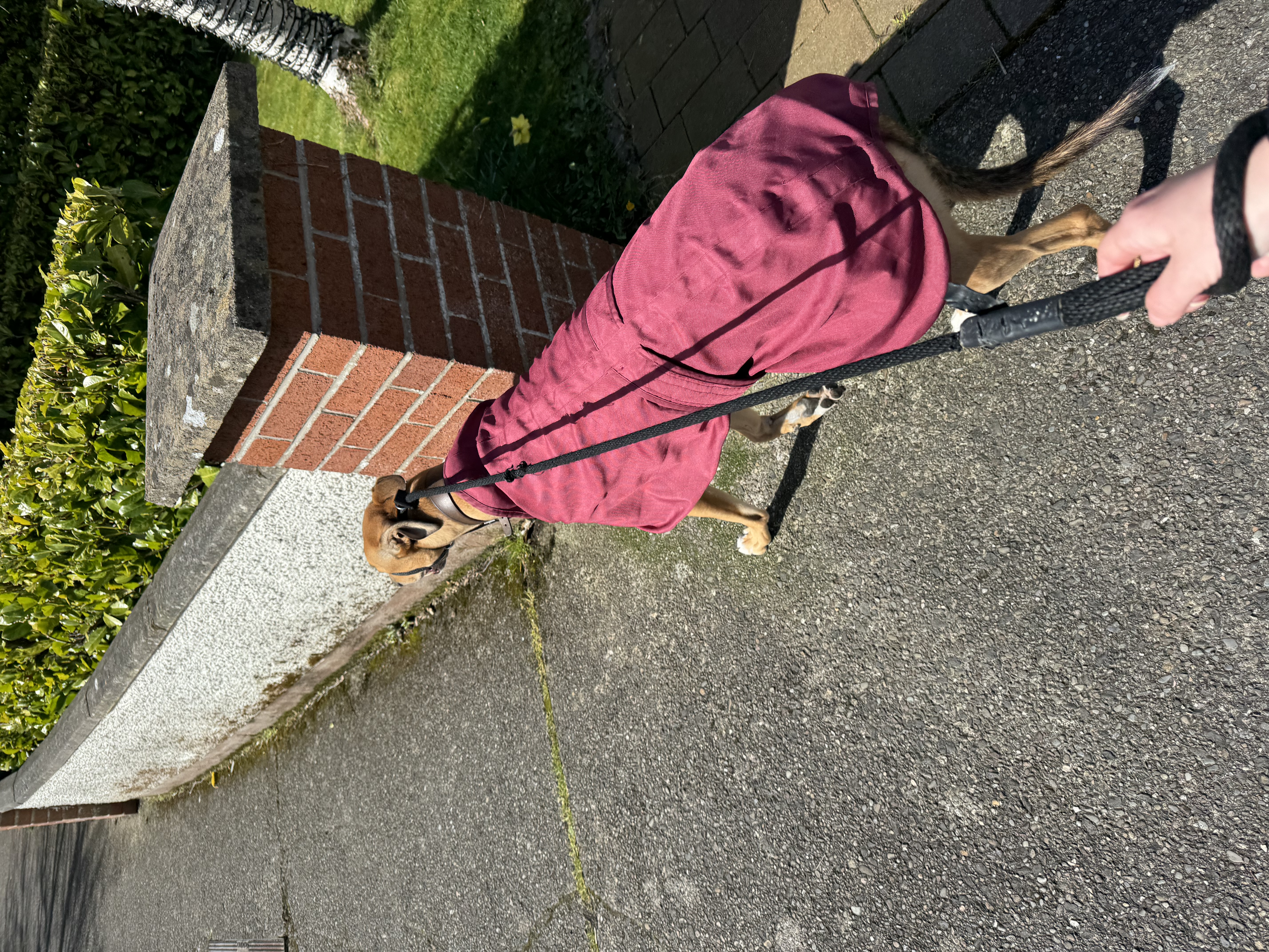 image-13