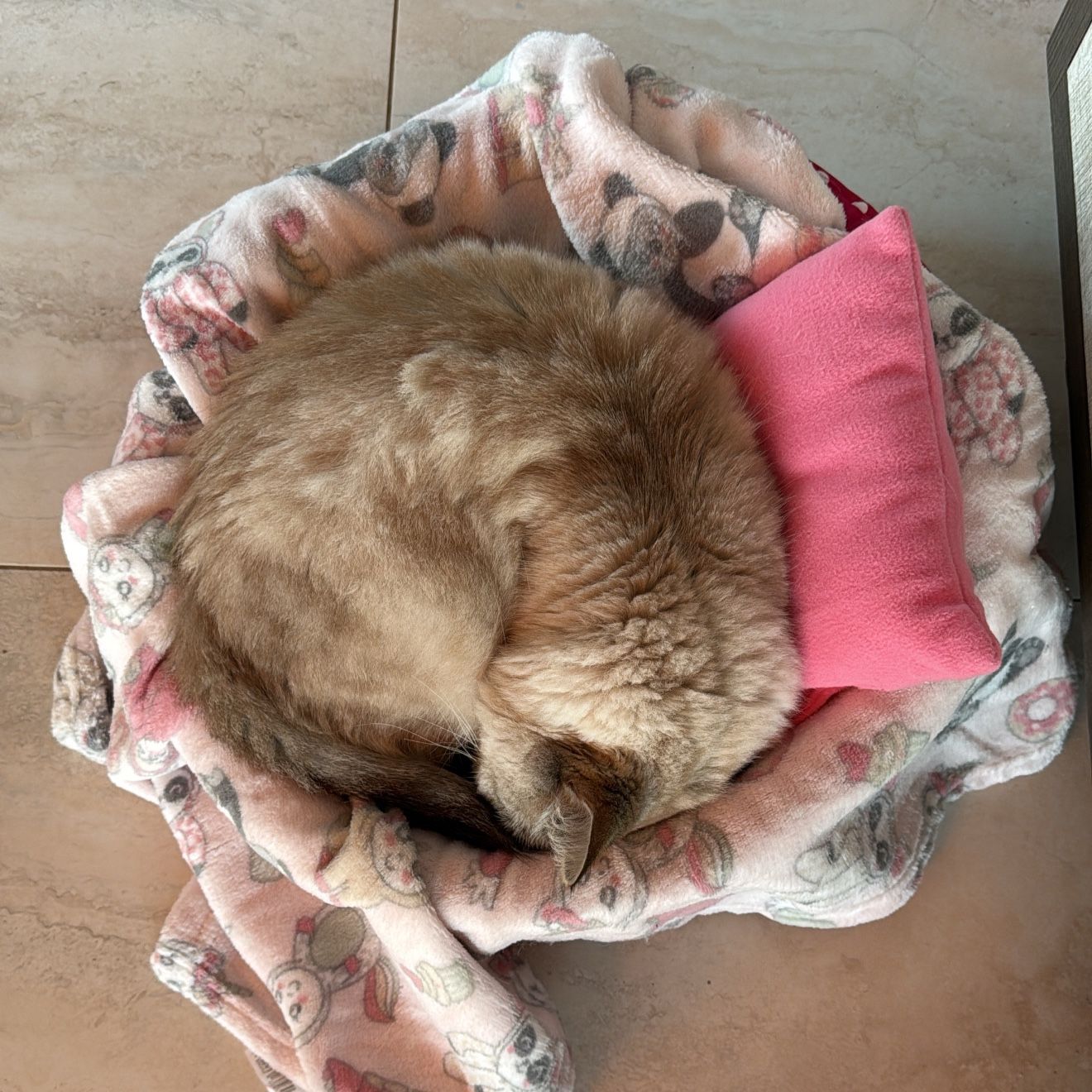 Filó