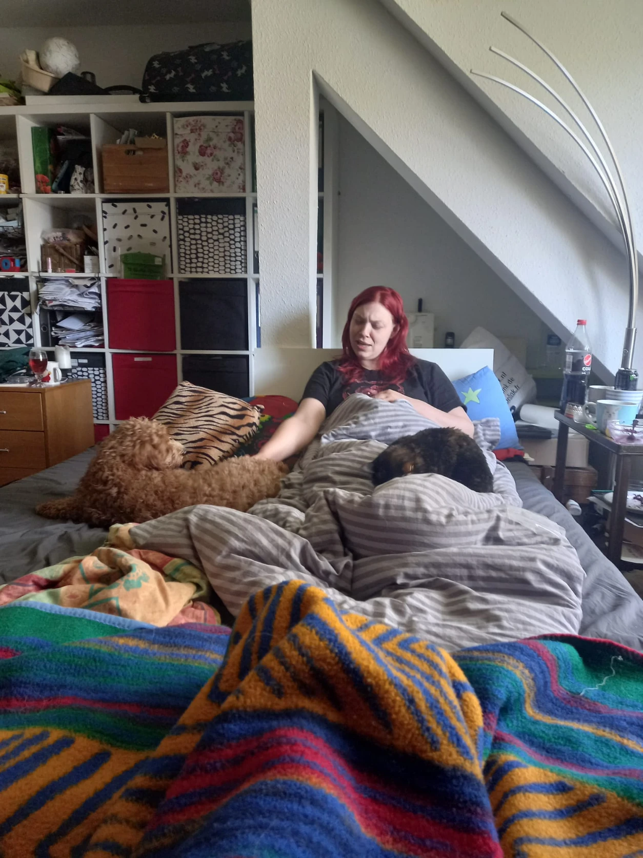 image-3