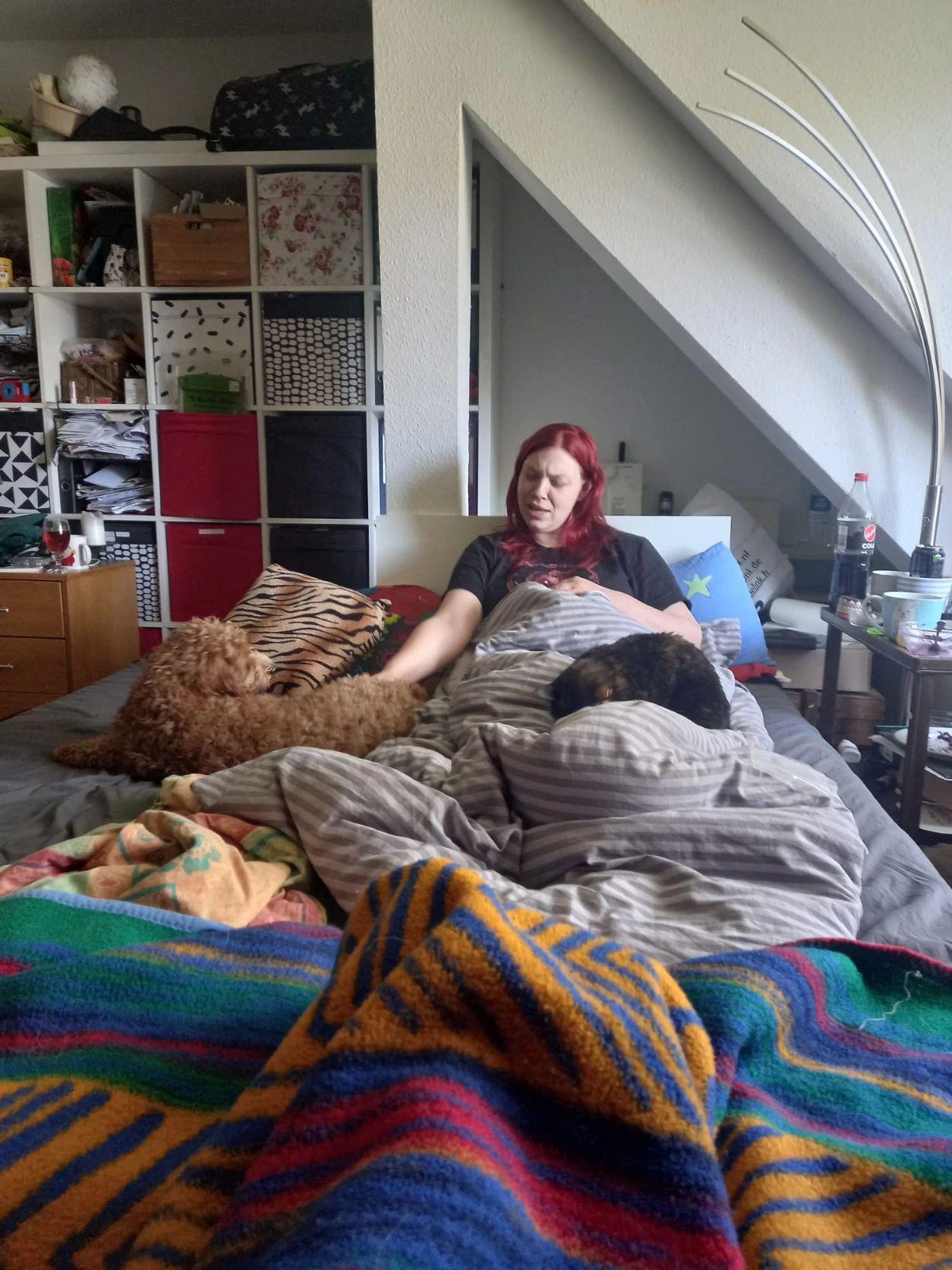 image-3