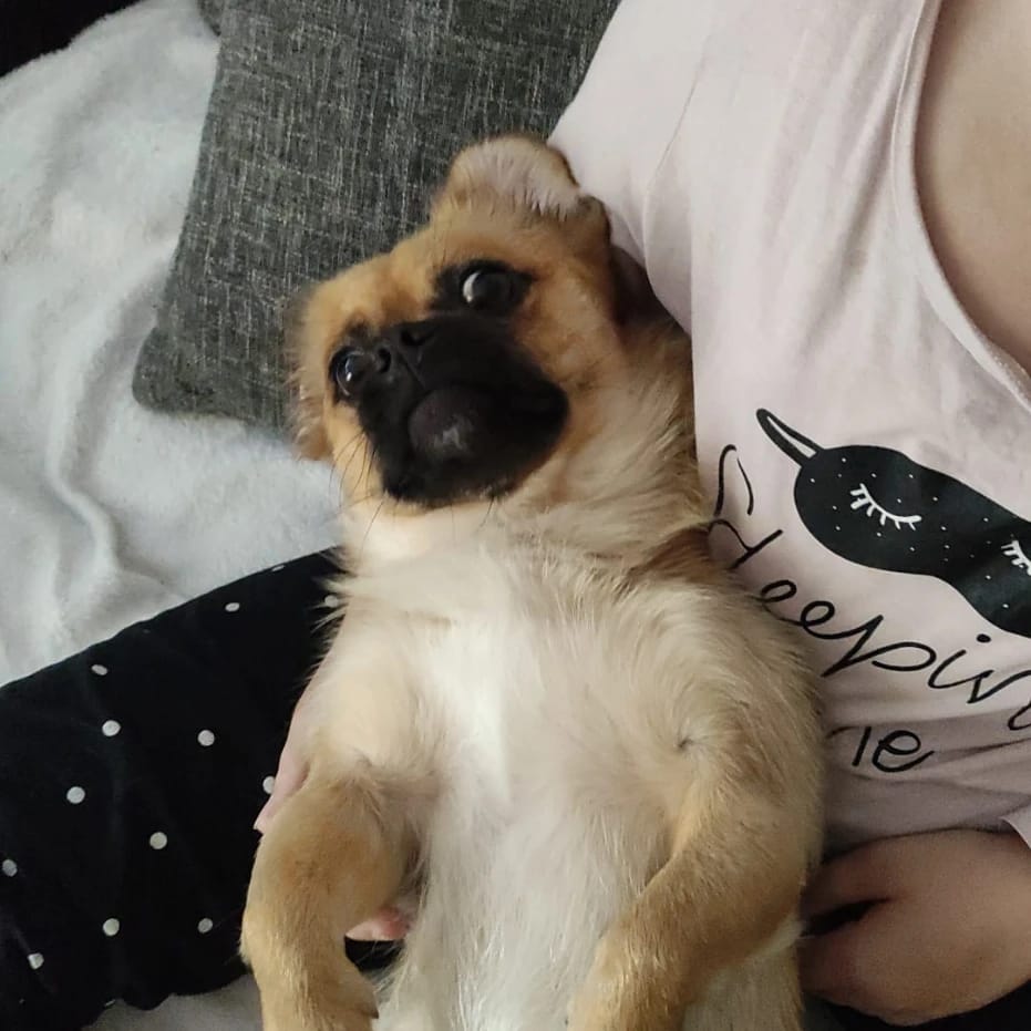 Milo