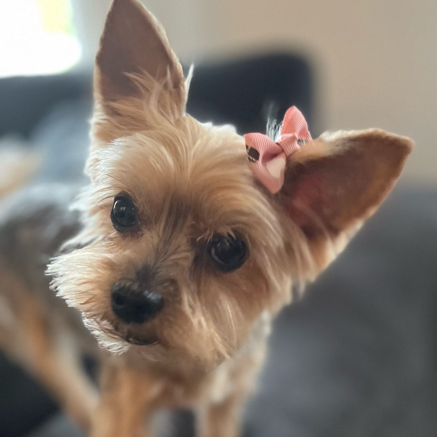 Mia 
