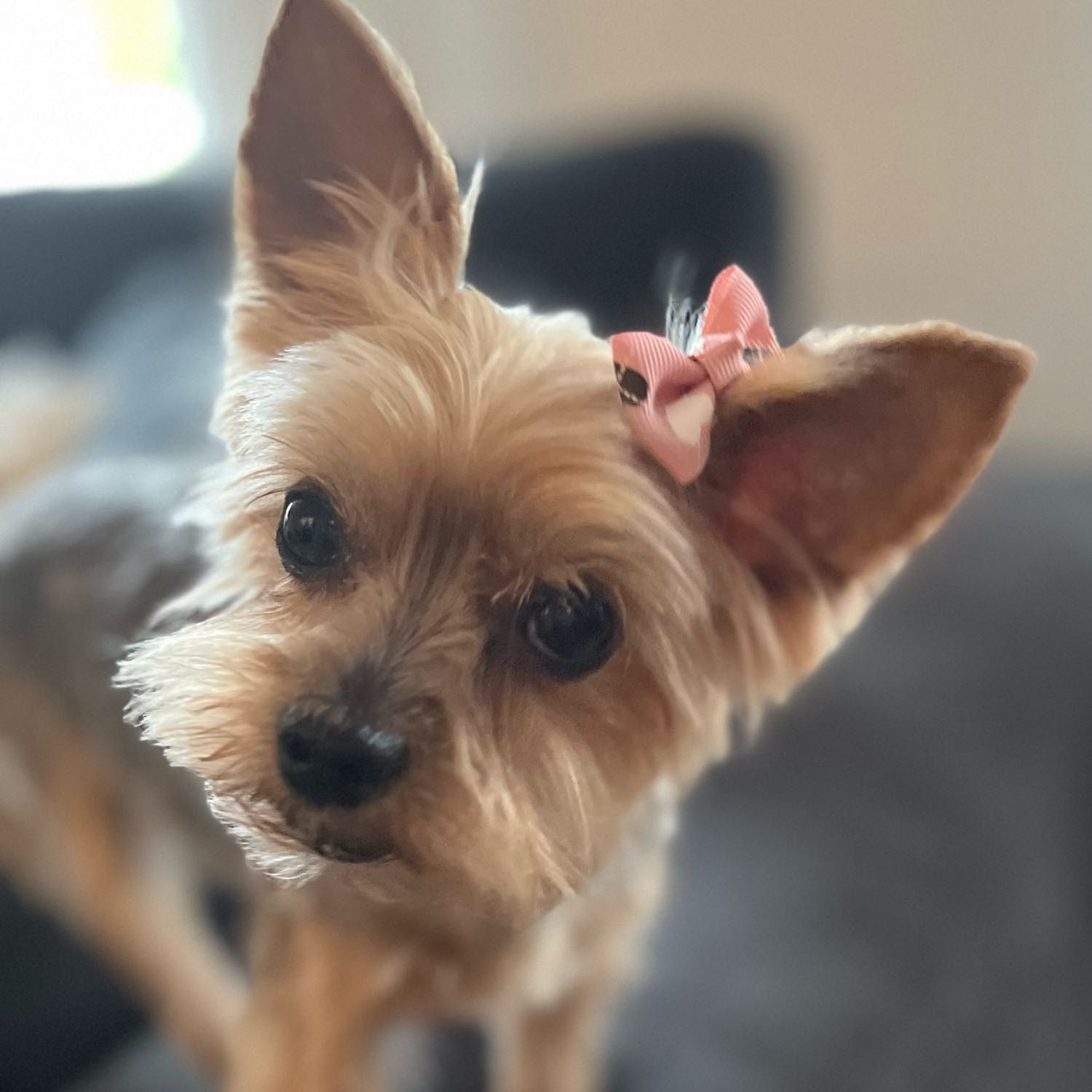 Mia