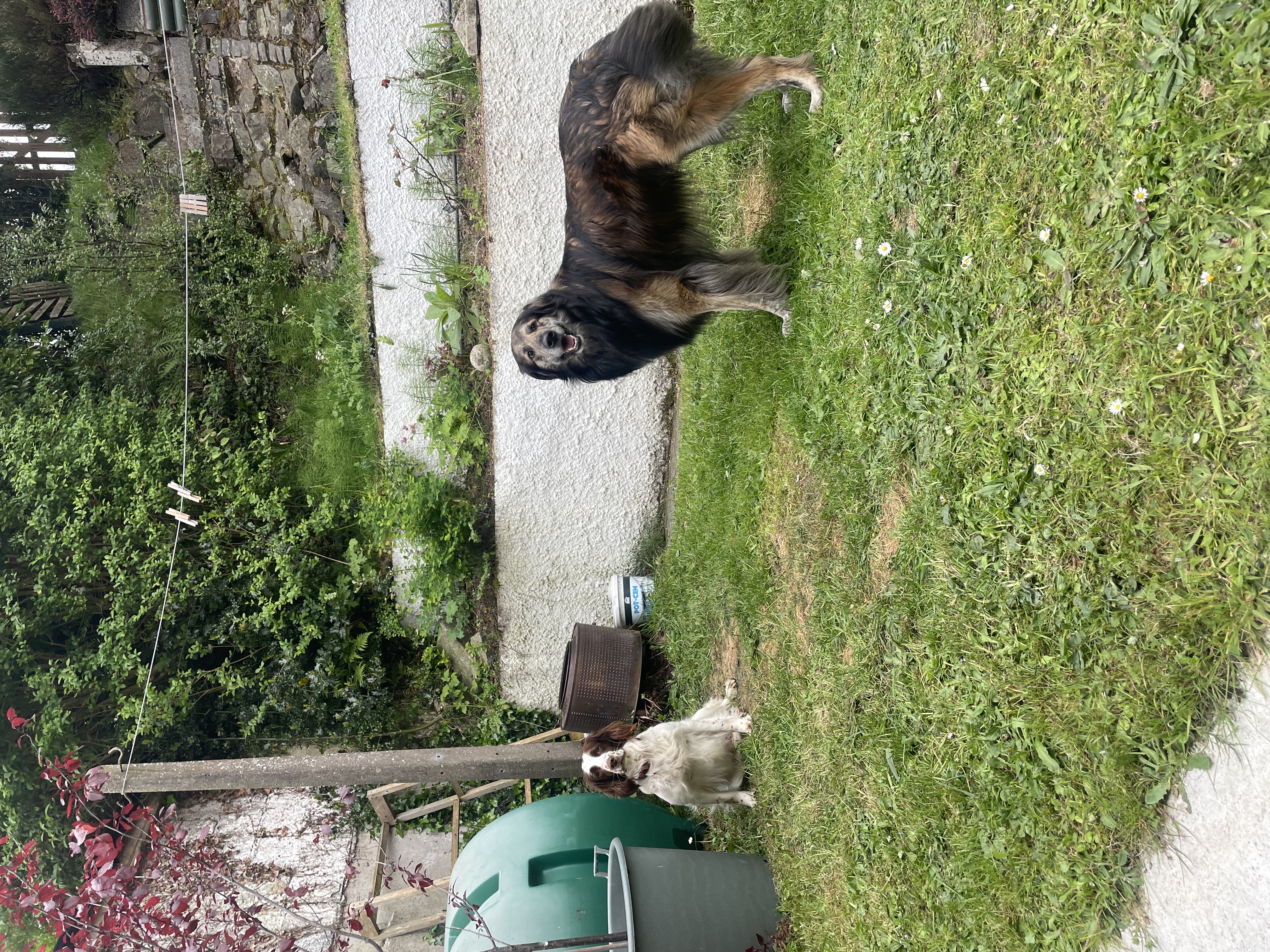image-15