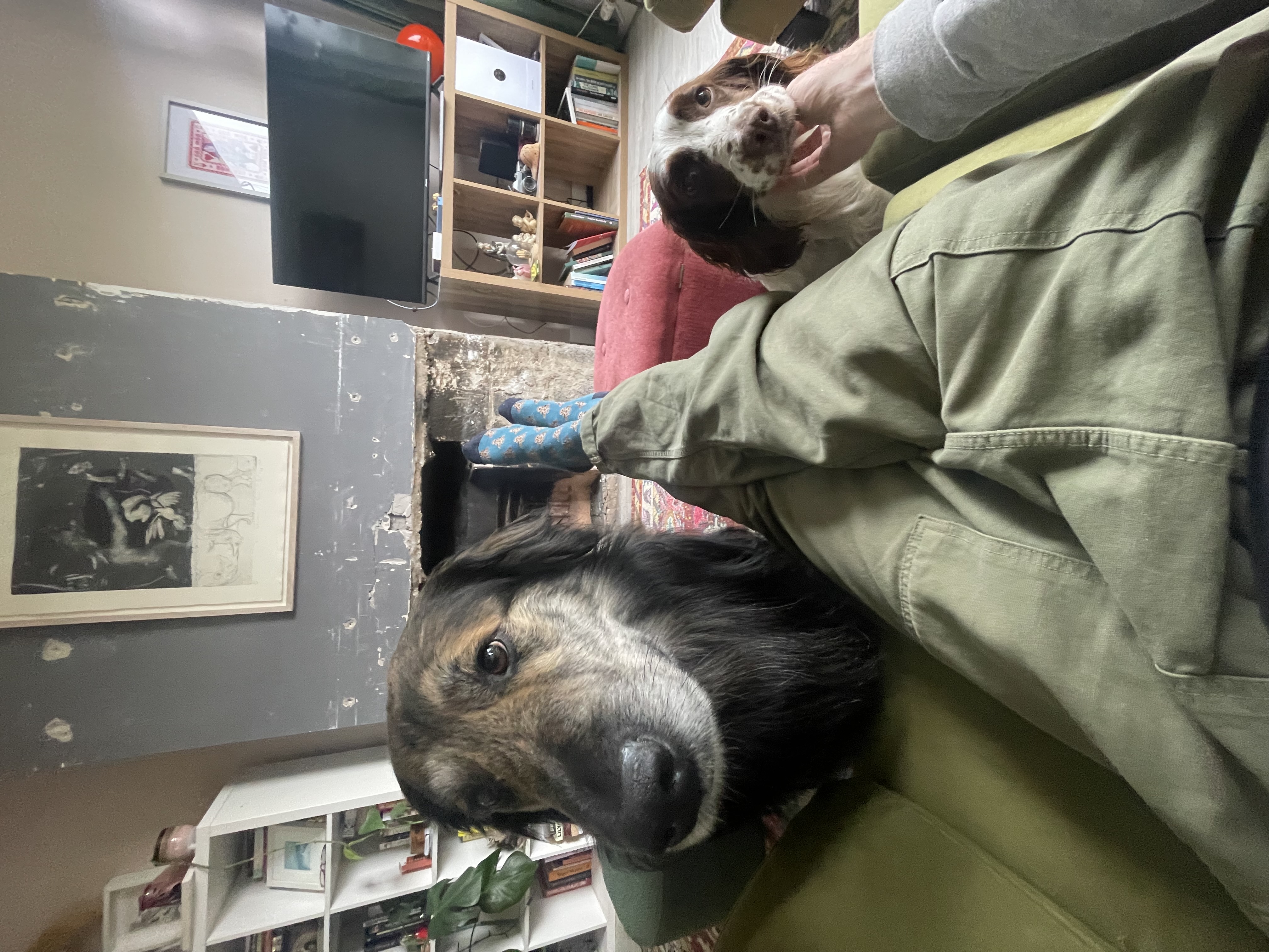 image-9