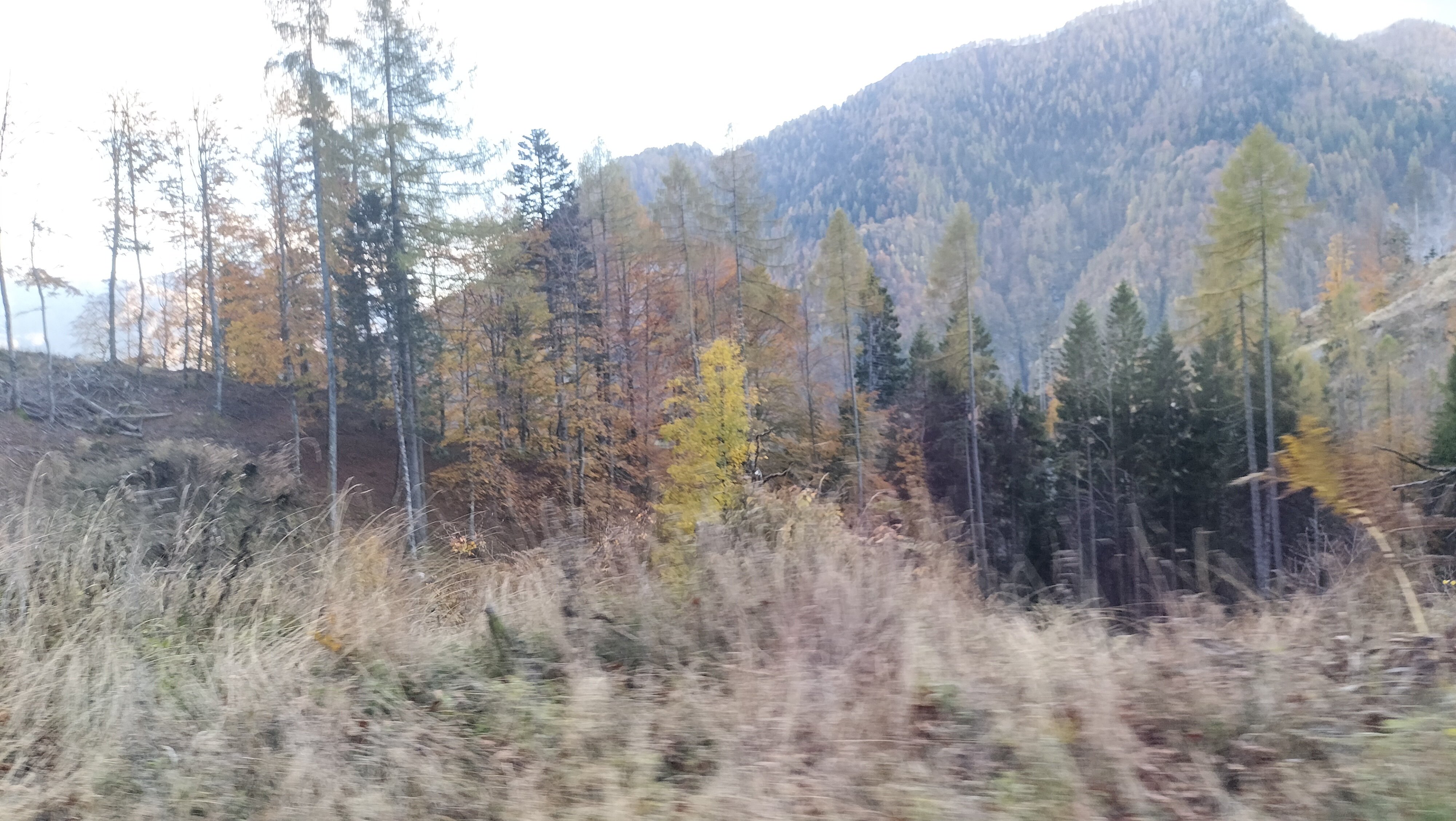 image-17