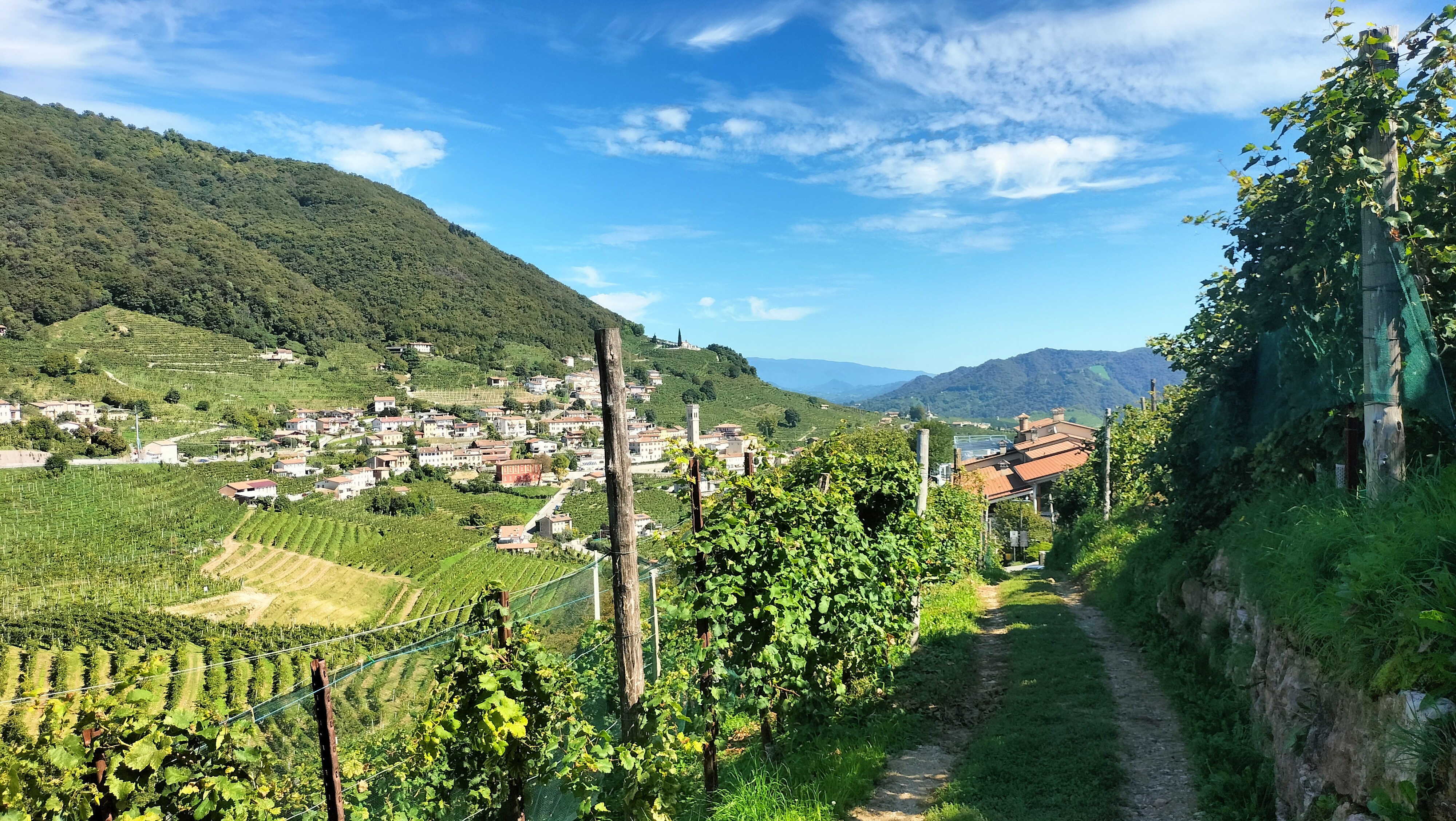 image-25