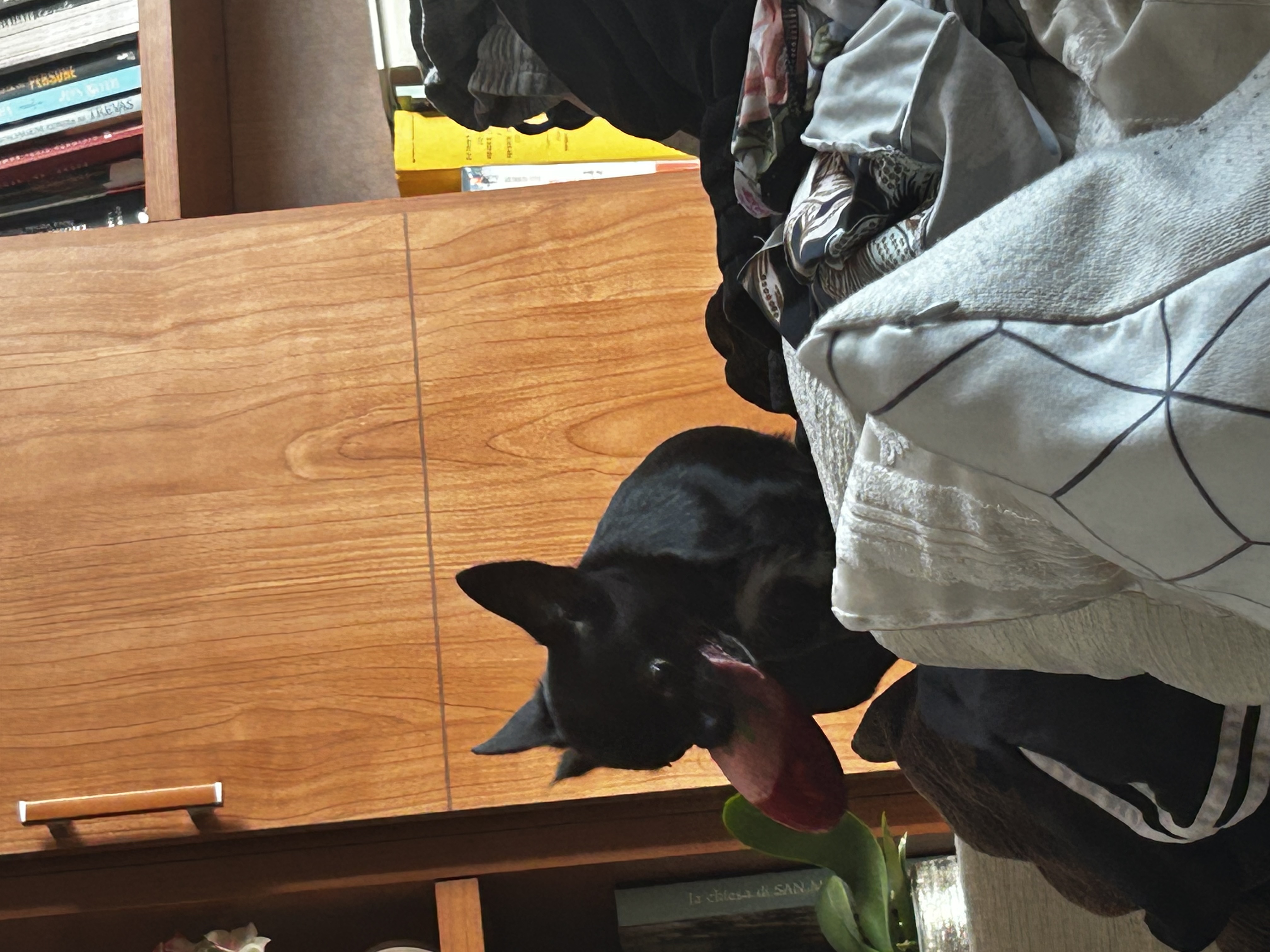 image-18