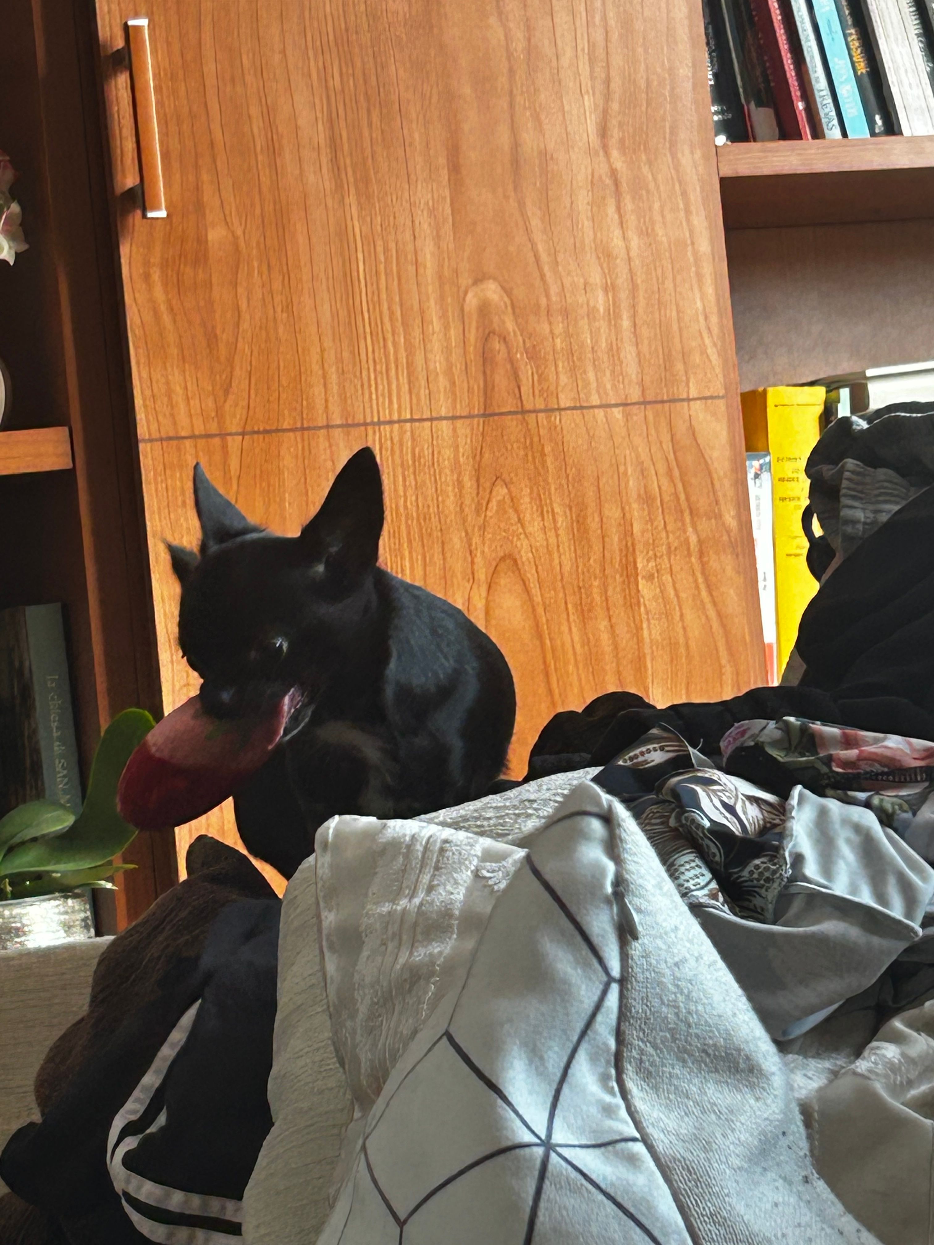 image-18