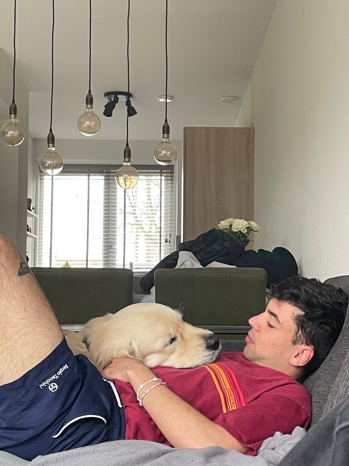 image-4