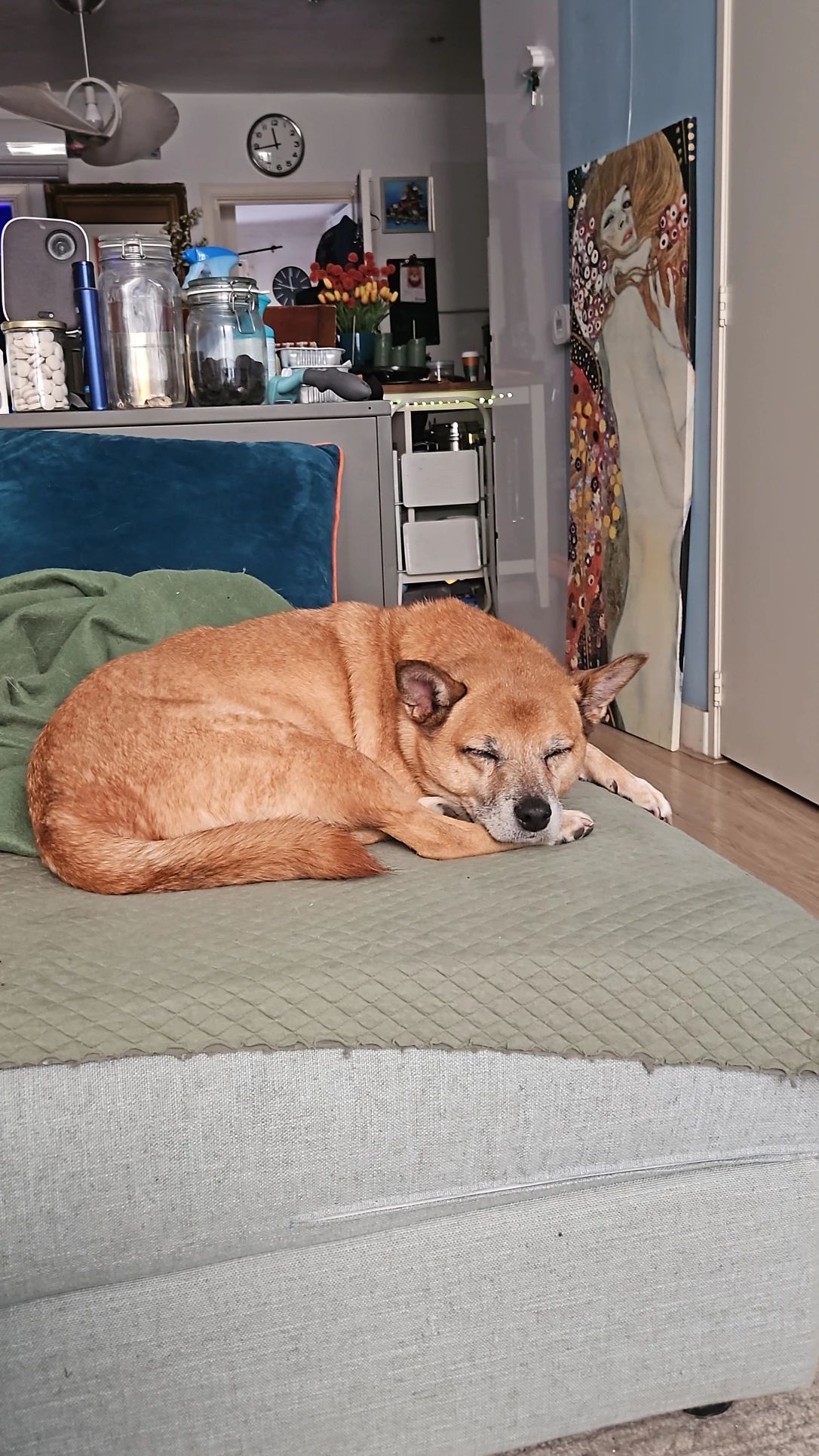 image-18