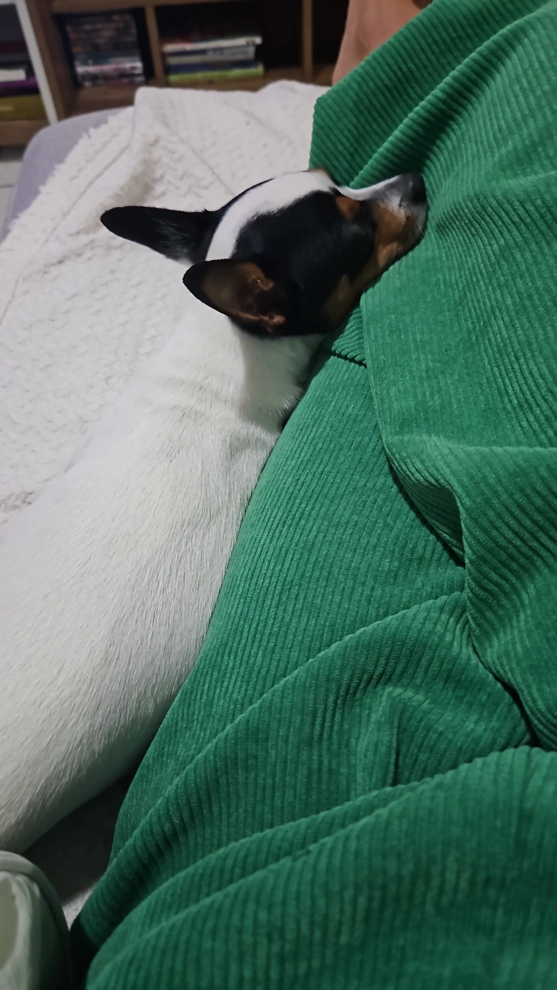 image-11