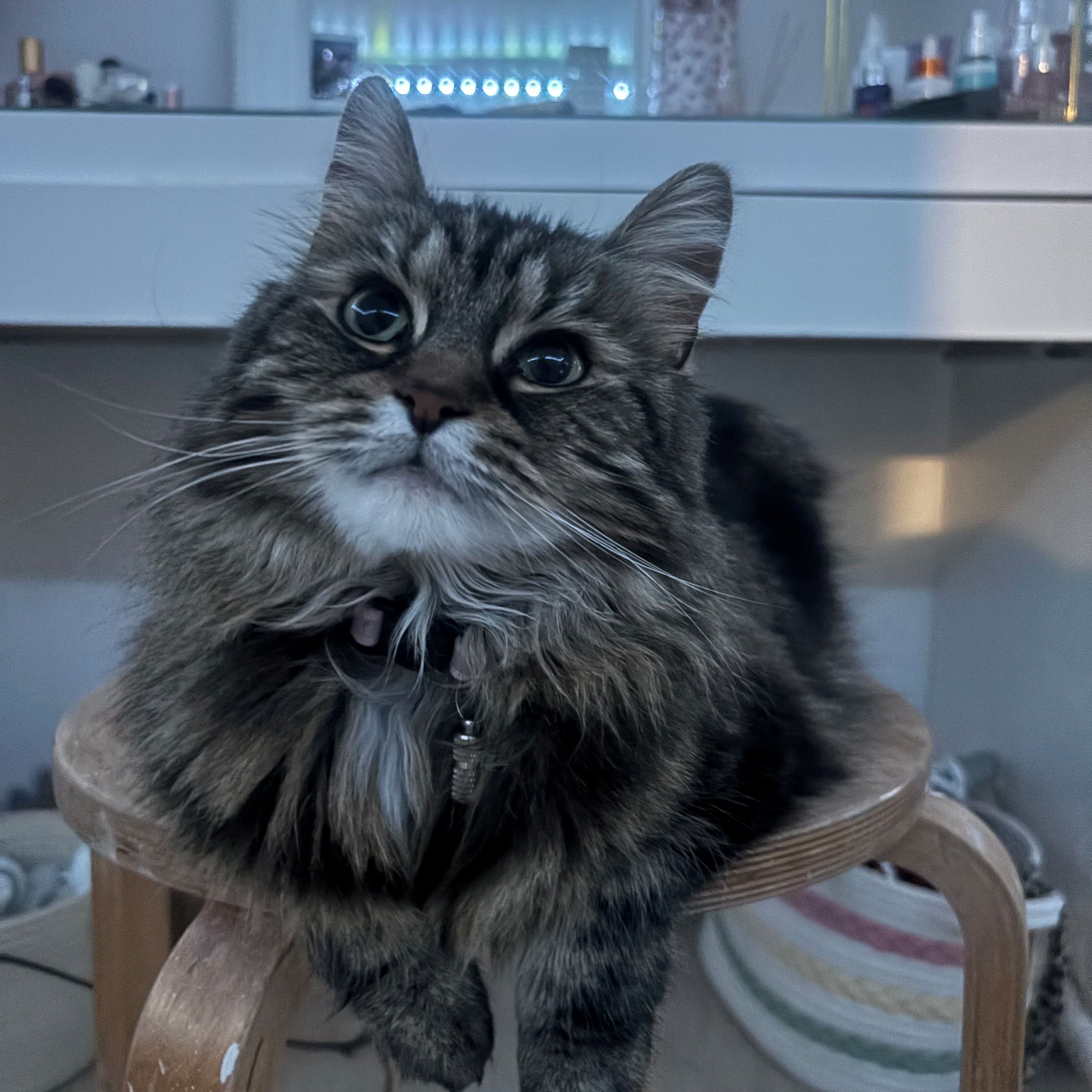 Missy