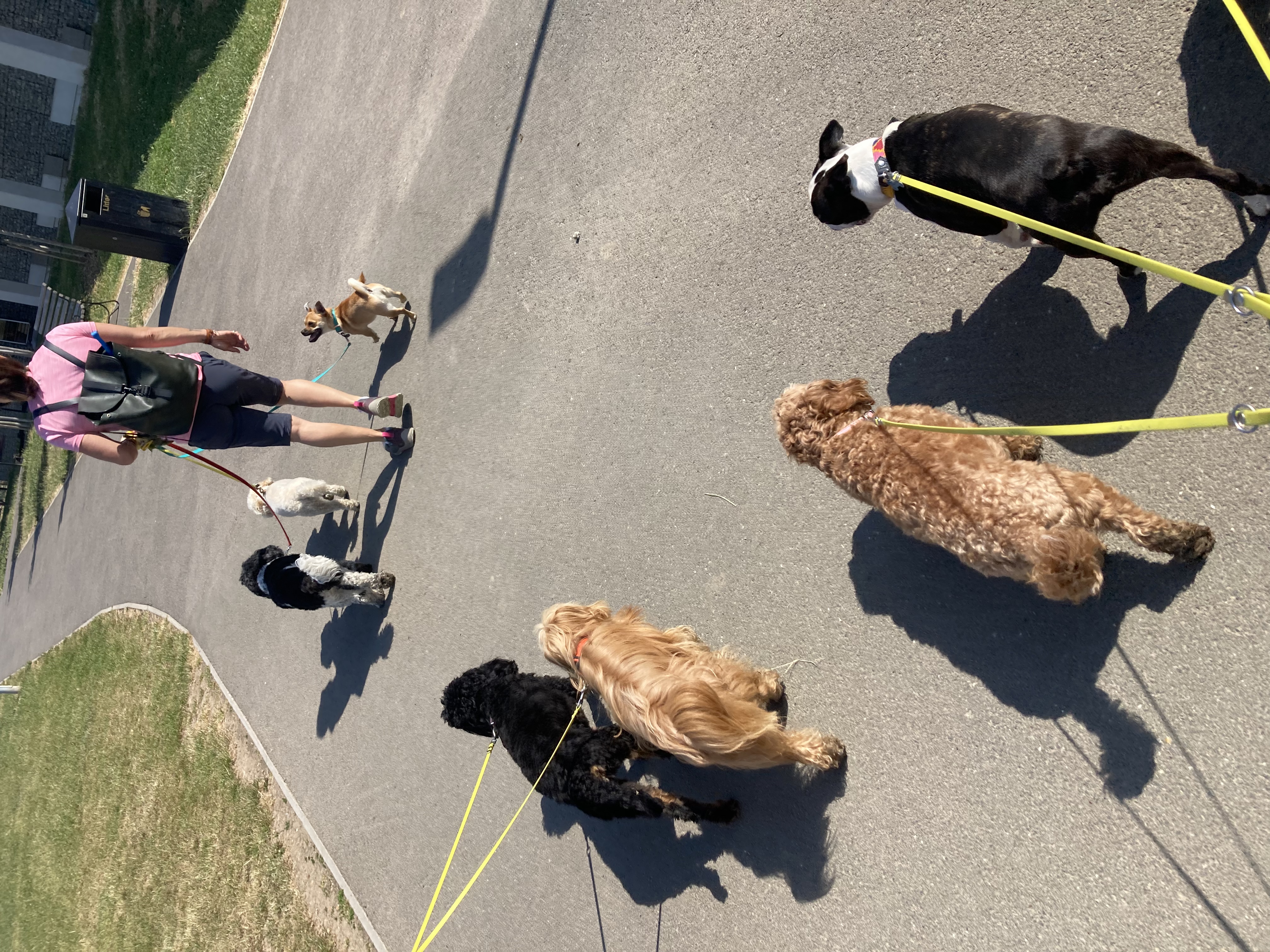 image-9