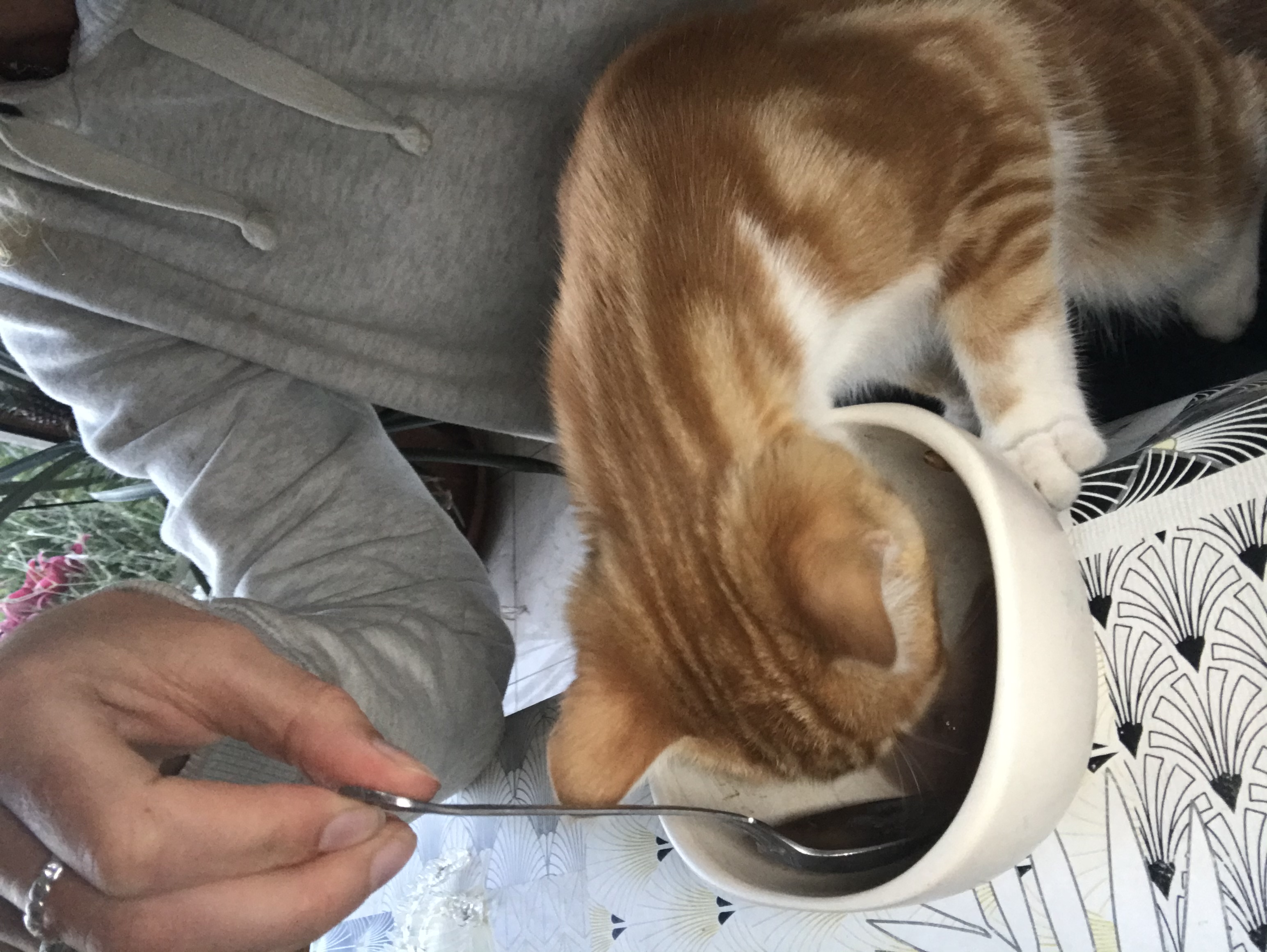 image-7