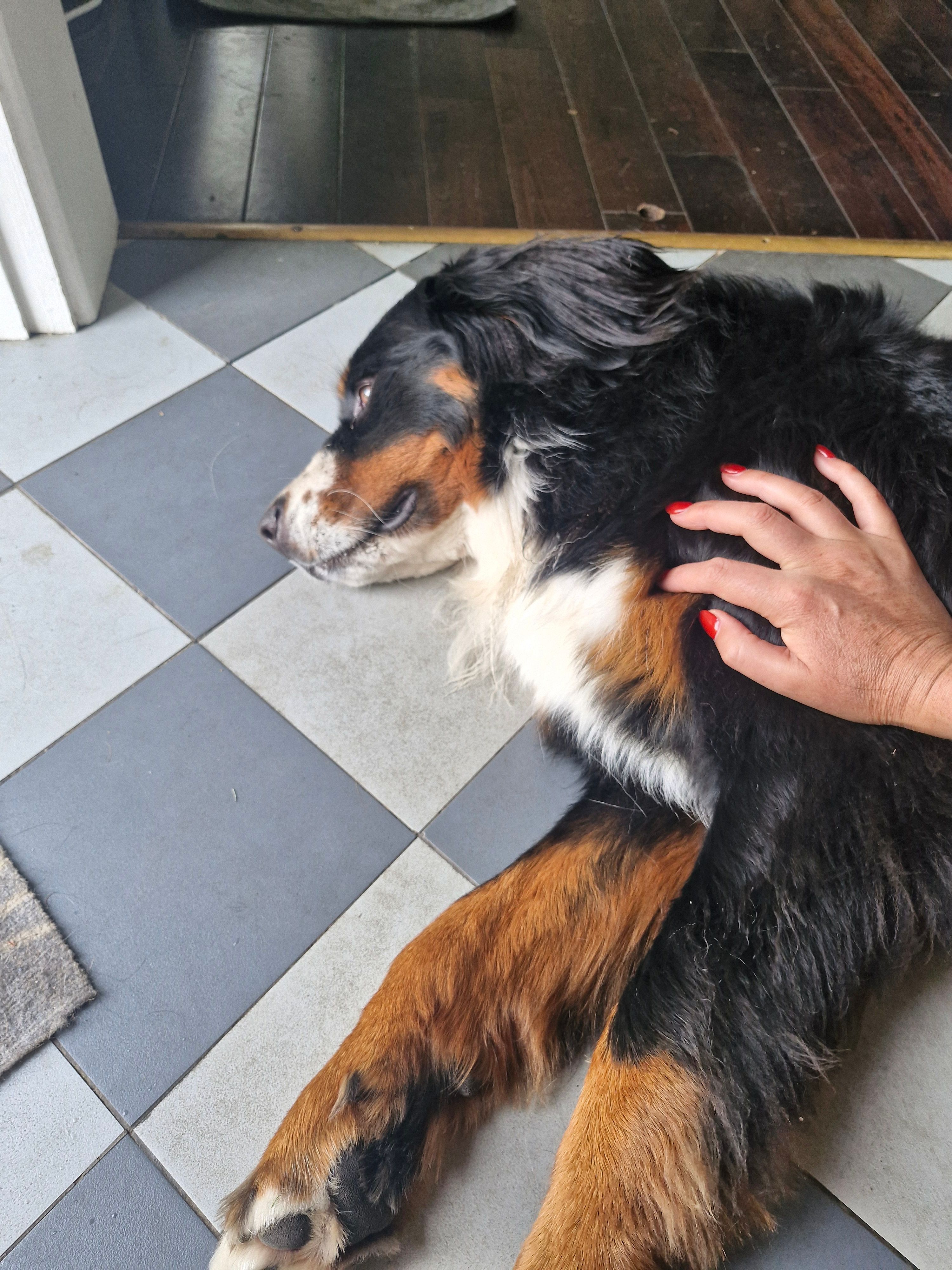 image-5
