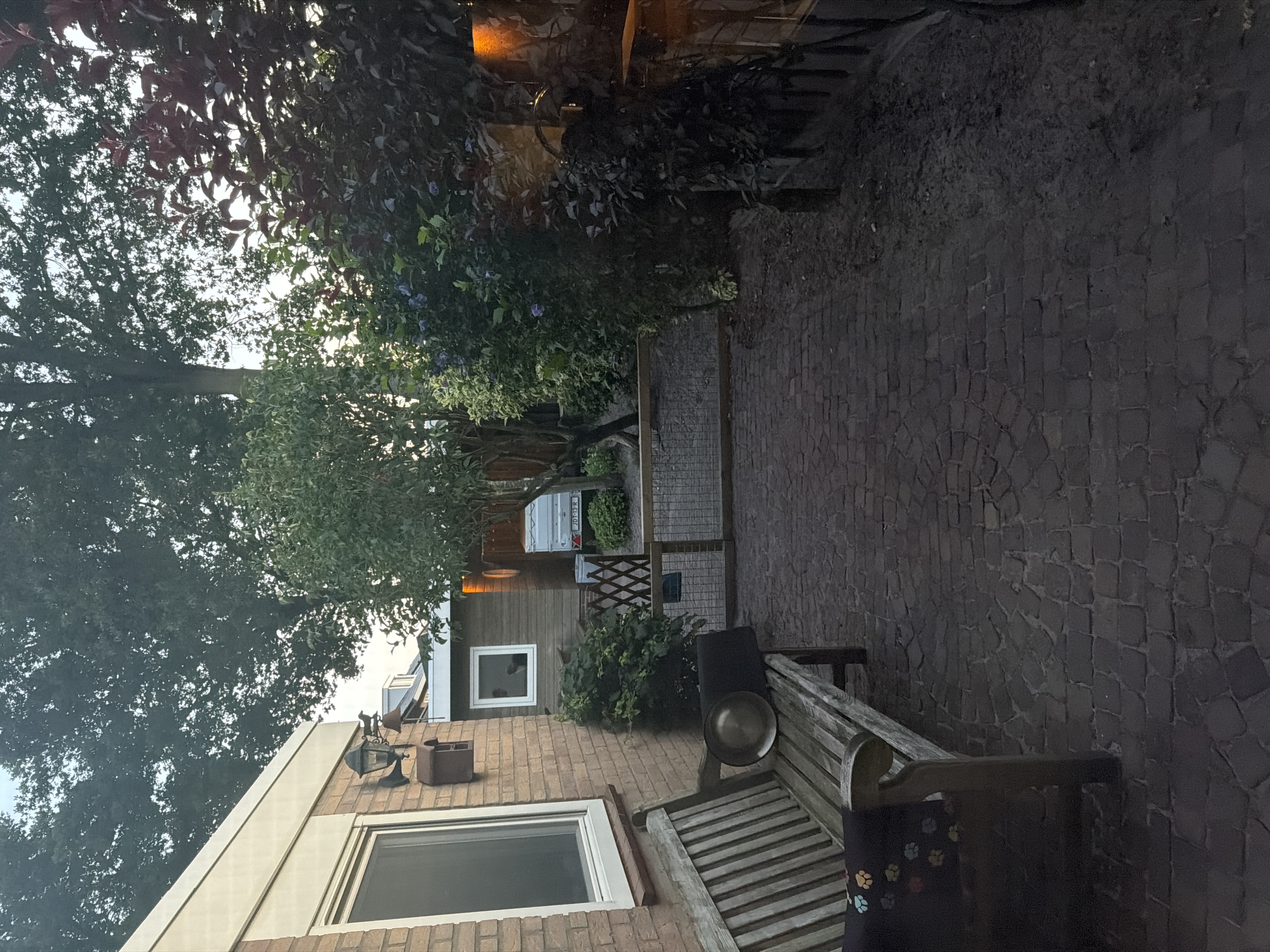 image-21